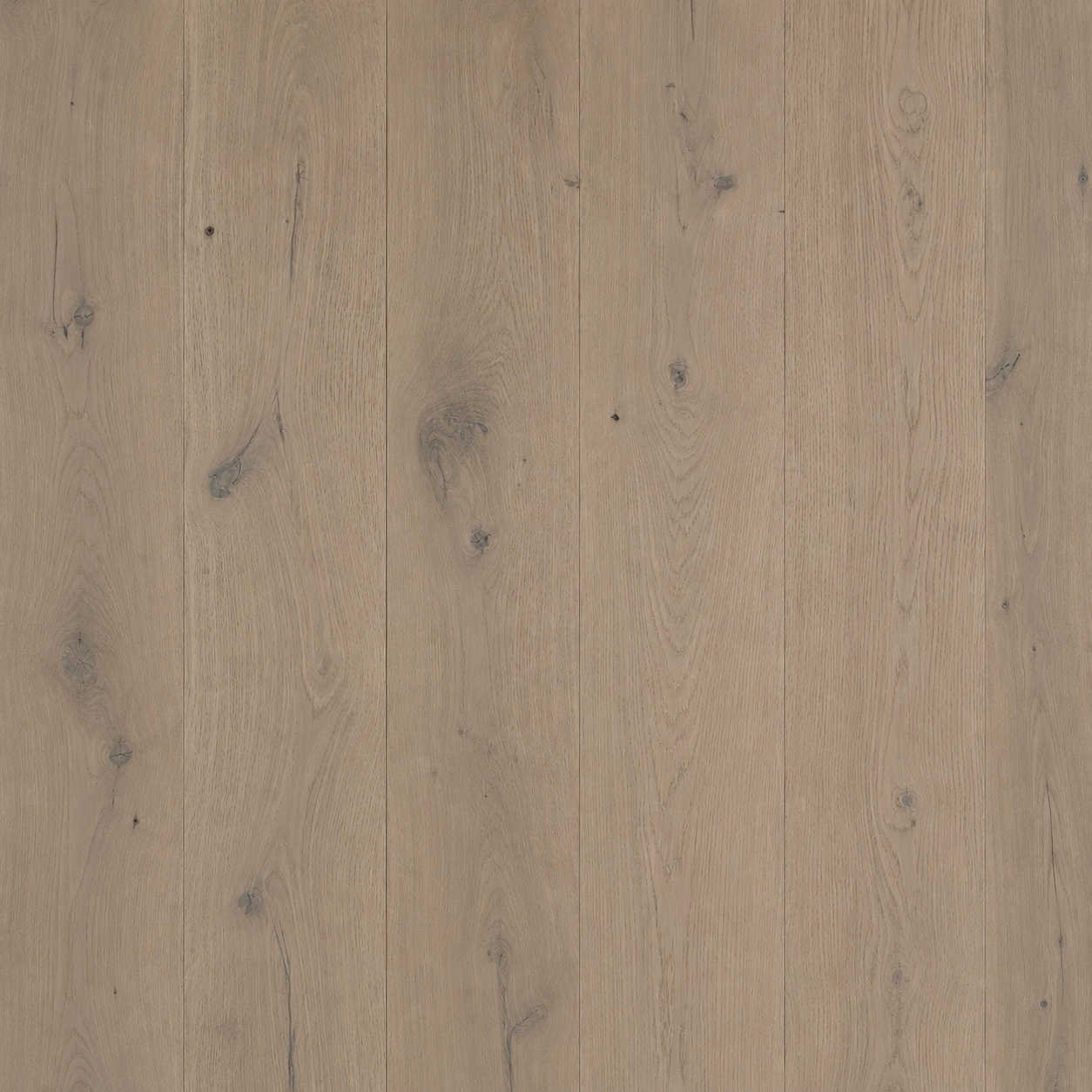 Beige White Oak Wire-Brushed Engineered Hardwood Flooring – Tongue & Groove | 5/8” x 7-5/8” x 96” with 3.5mm Top Layer (20.55 sq. ft./Case)