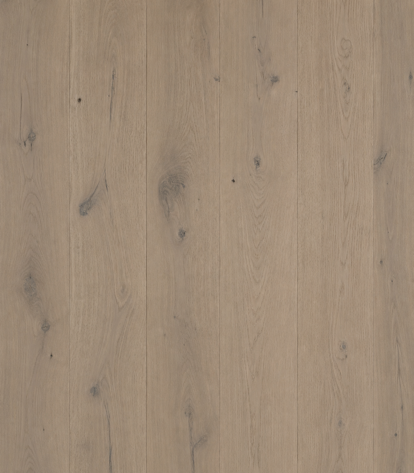 Beige White Oak Wire-Brushed Engineered Hardwood Flooring – Tongue & Groove | 5/8” x 7-5/8” x 96” with 3.5mm Top Layer (20.55 sq. ft./Case)
