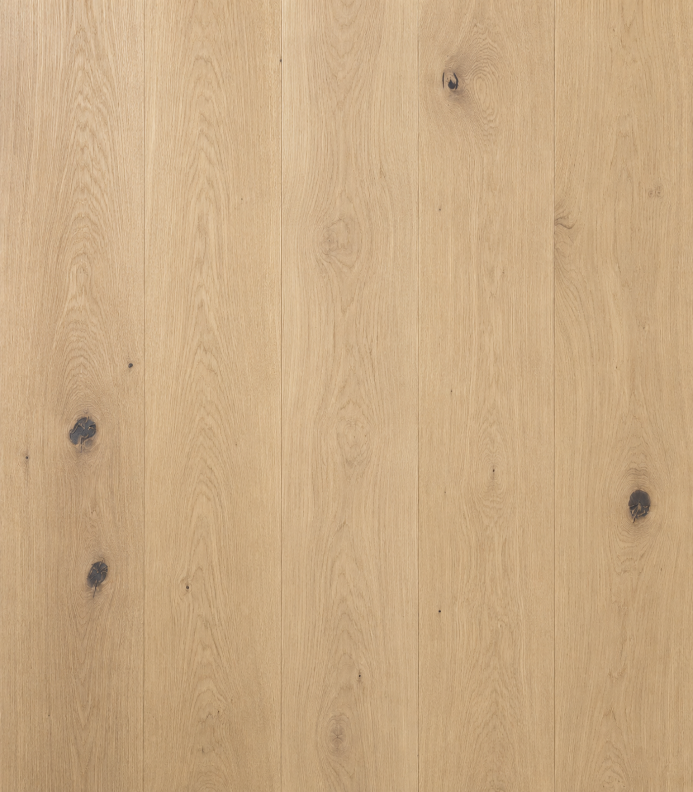 Andante White Oak Wire-Brushed Engineered Hardwood Flooring – Tongue & Groove | 5/8” x 7-5/8” x 96” with 3.5mm Top Layer (20.55 sq. ft./Case)
