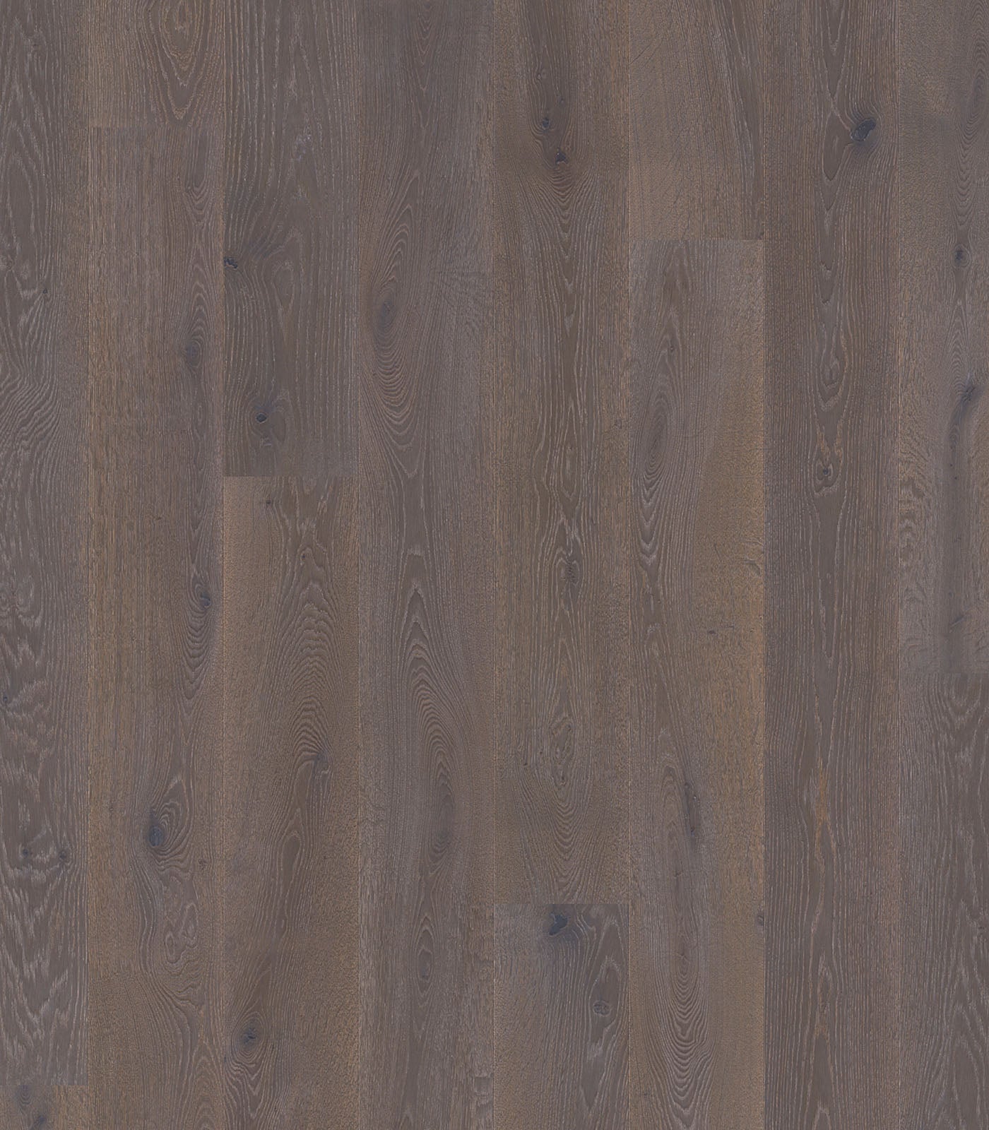 Tip Top Grey Brushed Western European Oak Engineered Hardwood Floor, 7.5"–11.5" Wide, 72"–96" Long, 9/16"–7/8" Thick