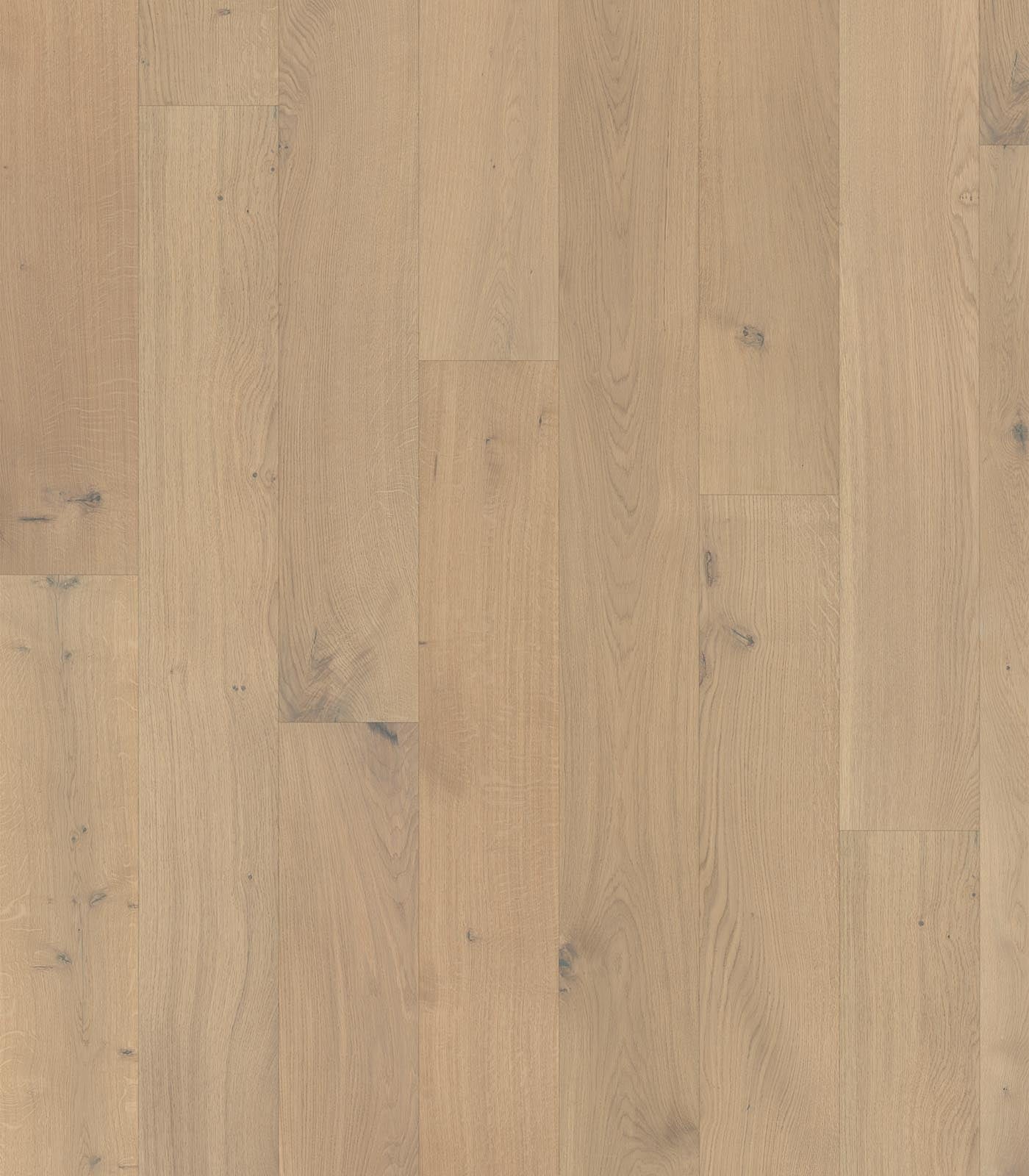 Karsdorf White Oak