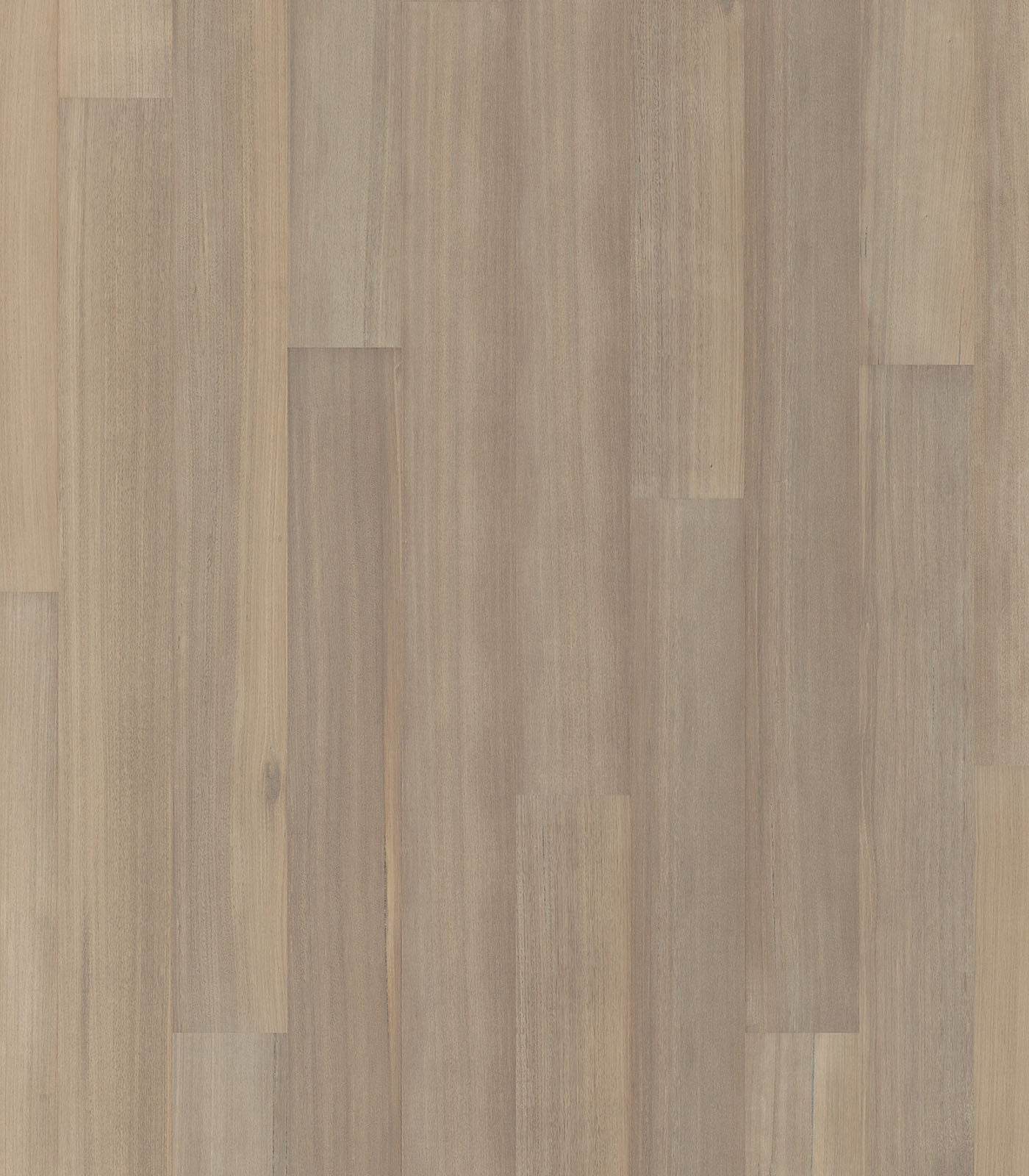 Sydney Tasmanian Oak Flooring - ShippingFloors