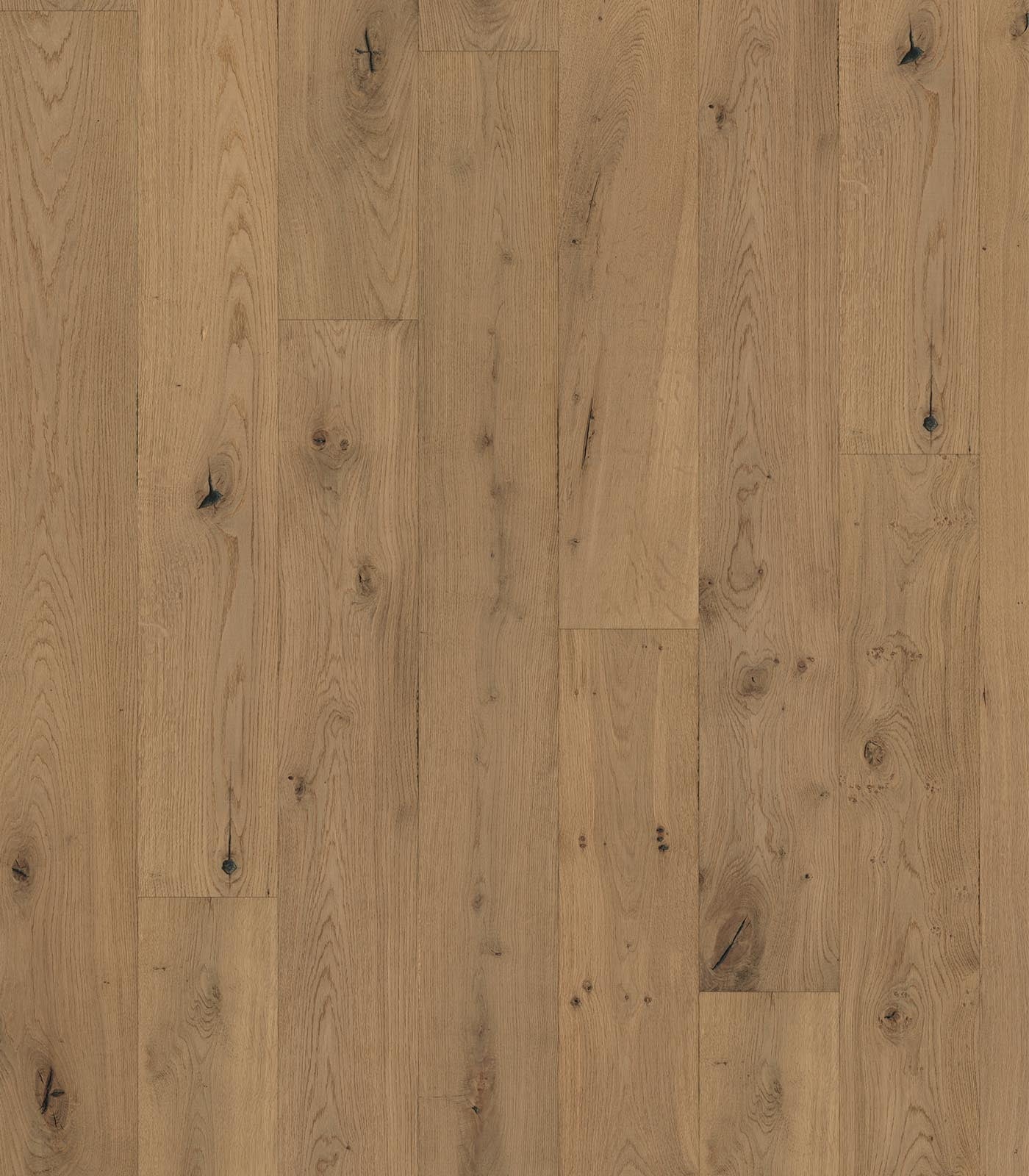 Westminster Engineered Western European Oak - ShippingFloors