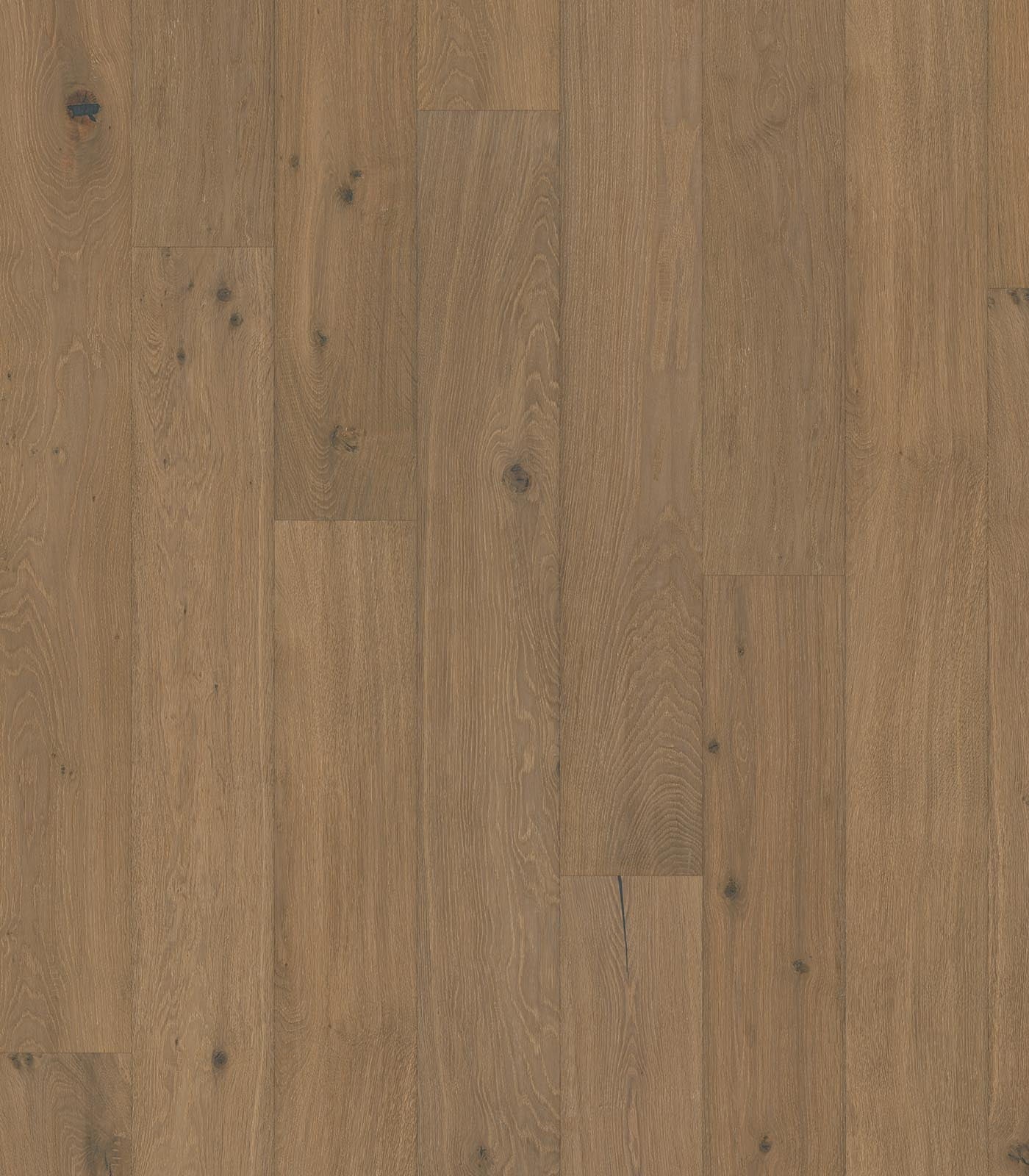 Jungfrau Antique Western European Oak - ShippingFloors