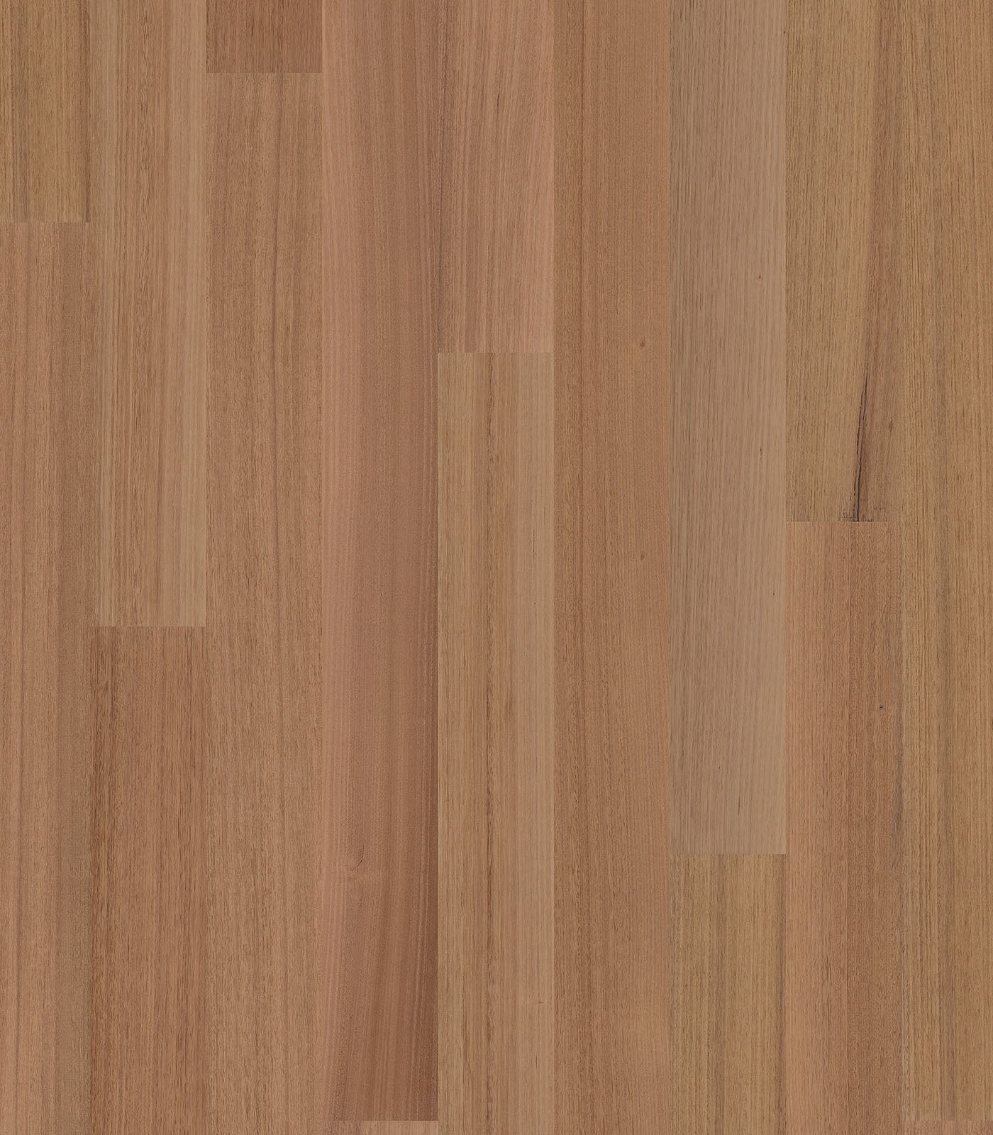 Melbourne Tasmanian Oak