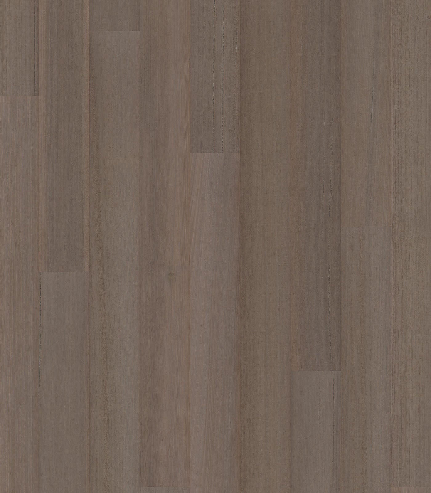 Brisbane Tasmanian Oak - ShippingFloors