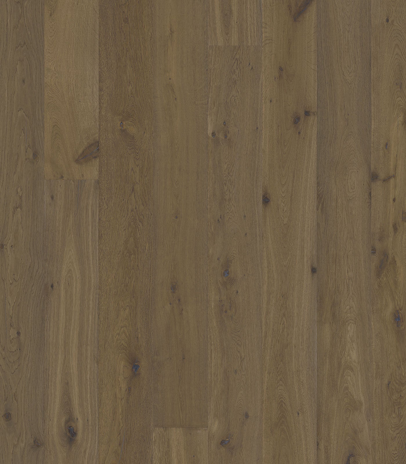 St. Lucia European Oak