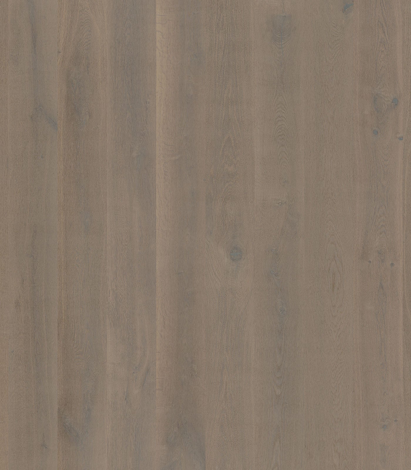 Seychelles Western European Oak