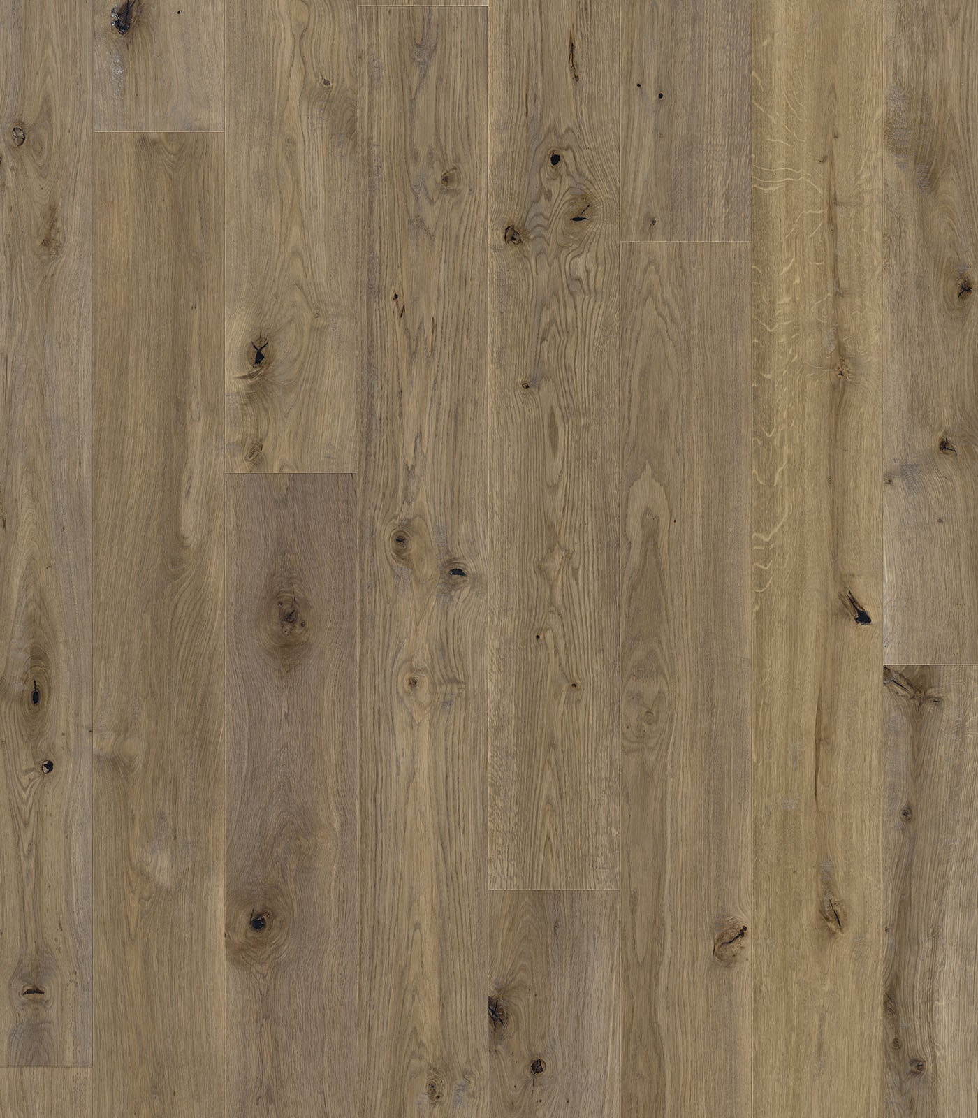 Etosha Engineered Western European Oak