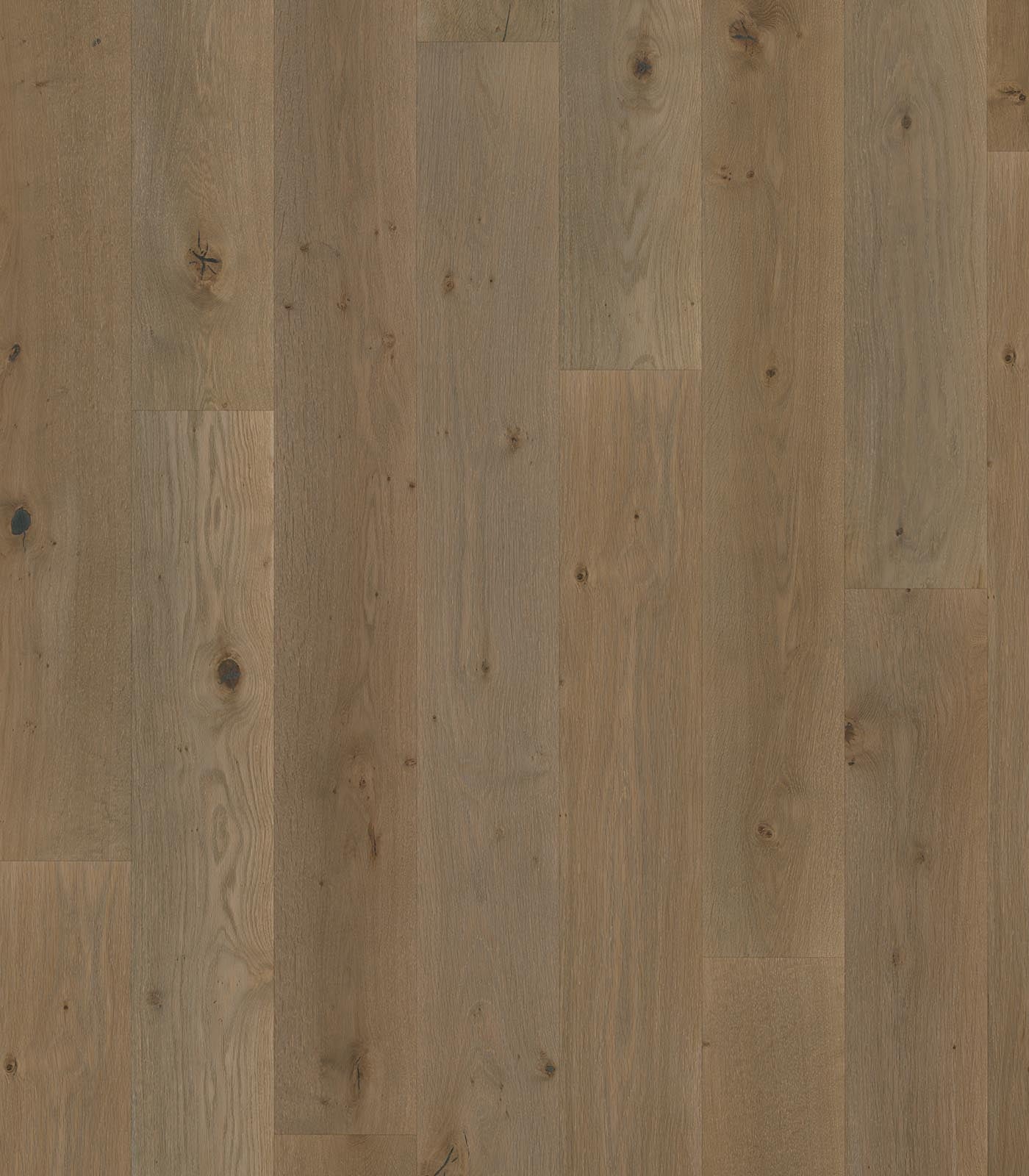 Bequia Engineered Flooring