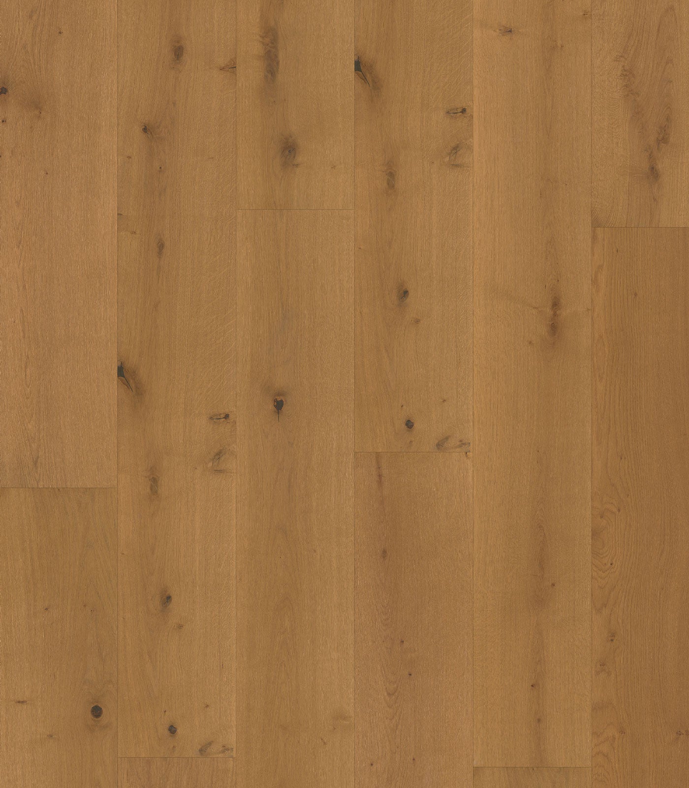 Caramel Western European Oak