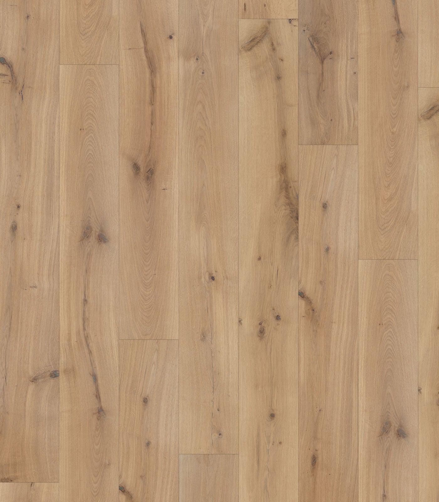 Darling Engineered Oak - ShippingFloors
