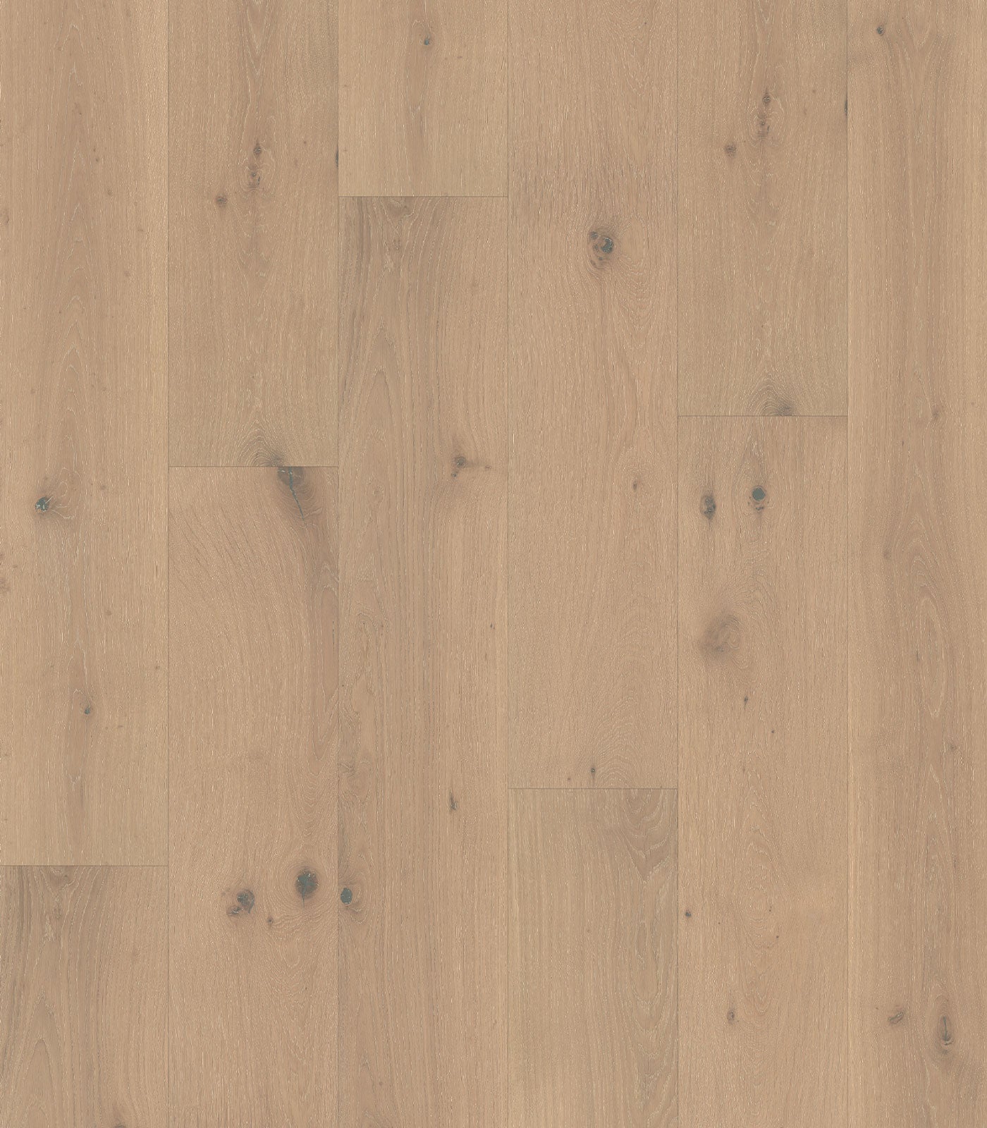 Dusk Engineered Western European Oak - ShippingFloors