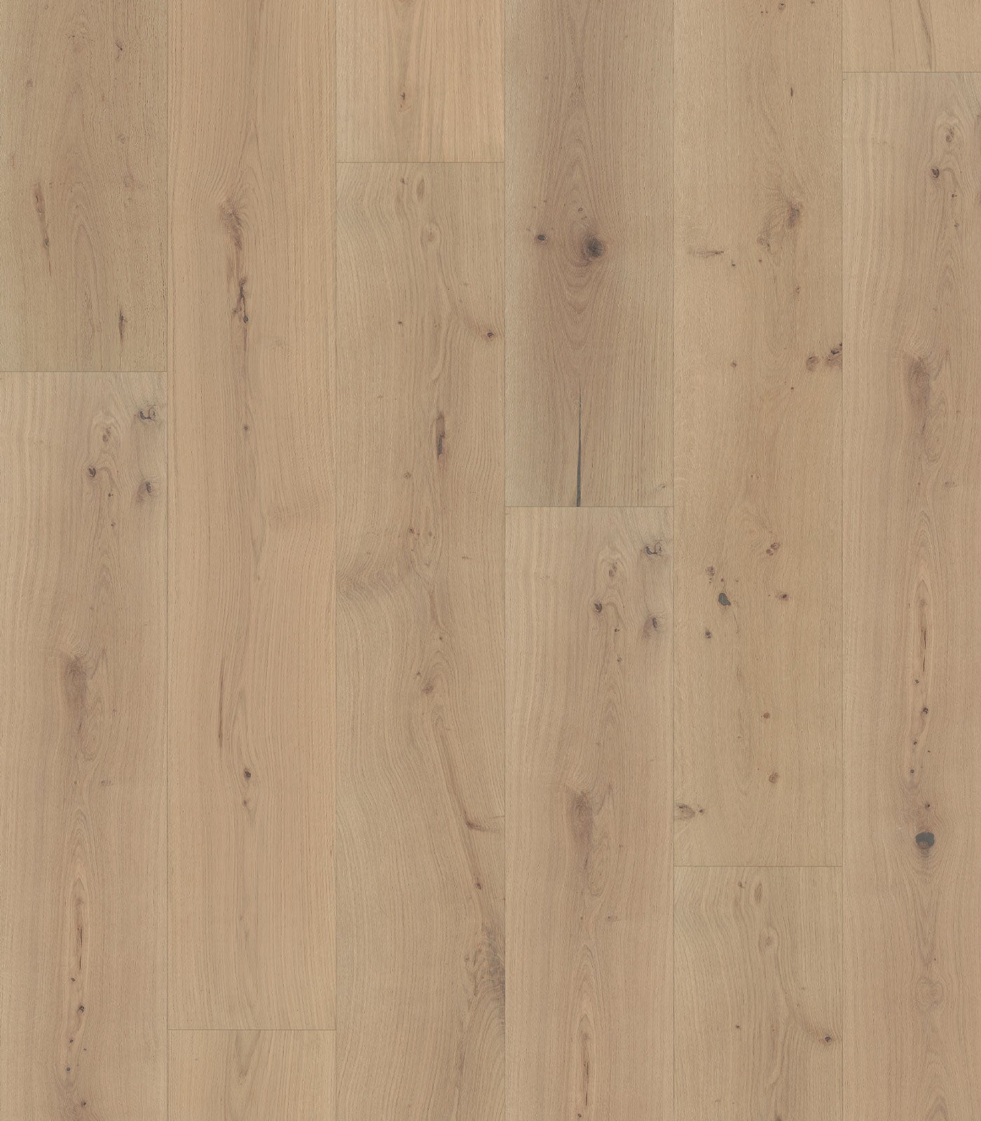 Elbe Engineered Western European Oak Flooring - Planks 7.5" to 11.5" W x 72" to 96" L, Thickness 9/16" to 7/8"