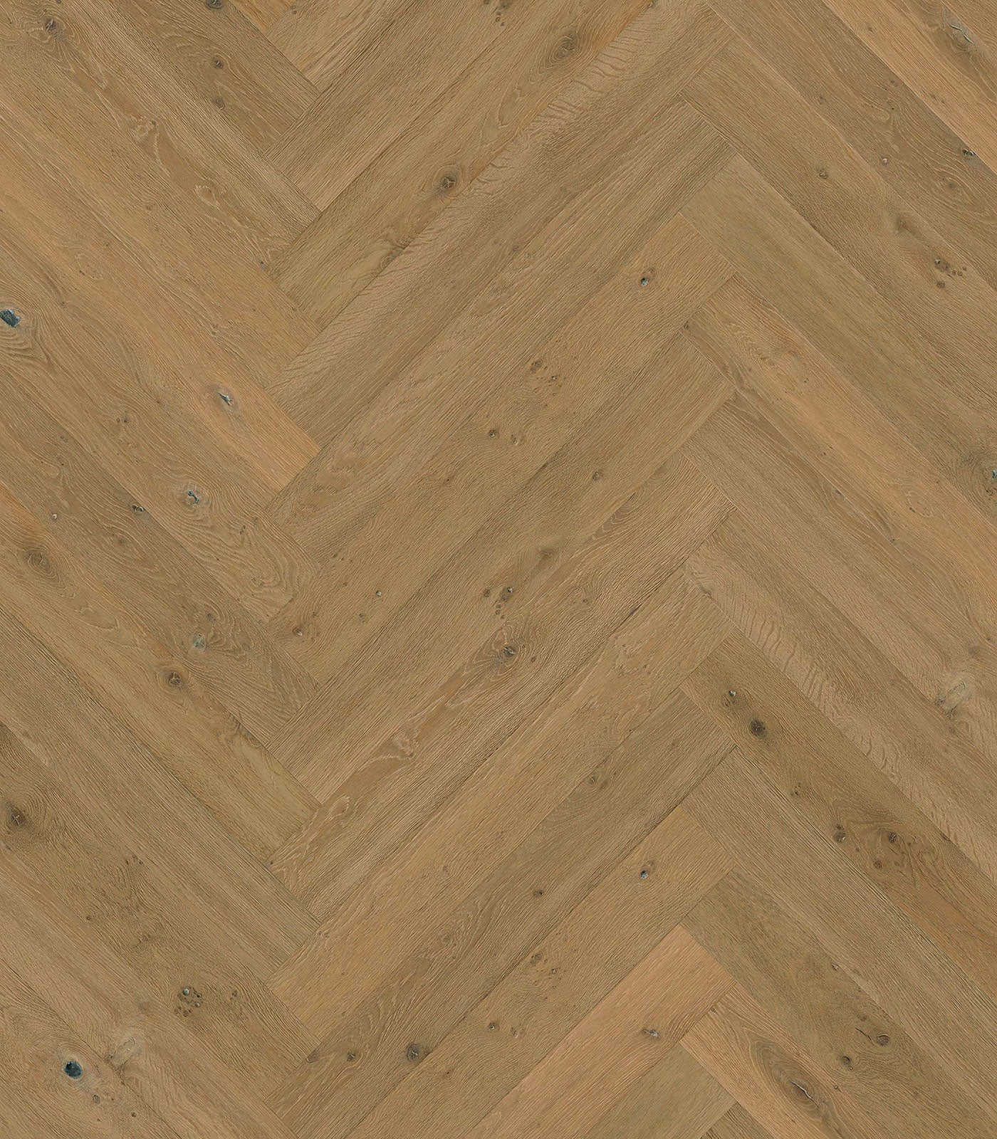 Herringbone Bergen Western European Oak - ShippingFloors
