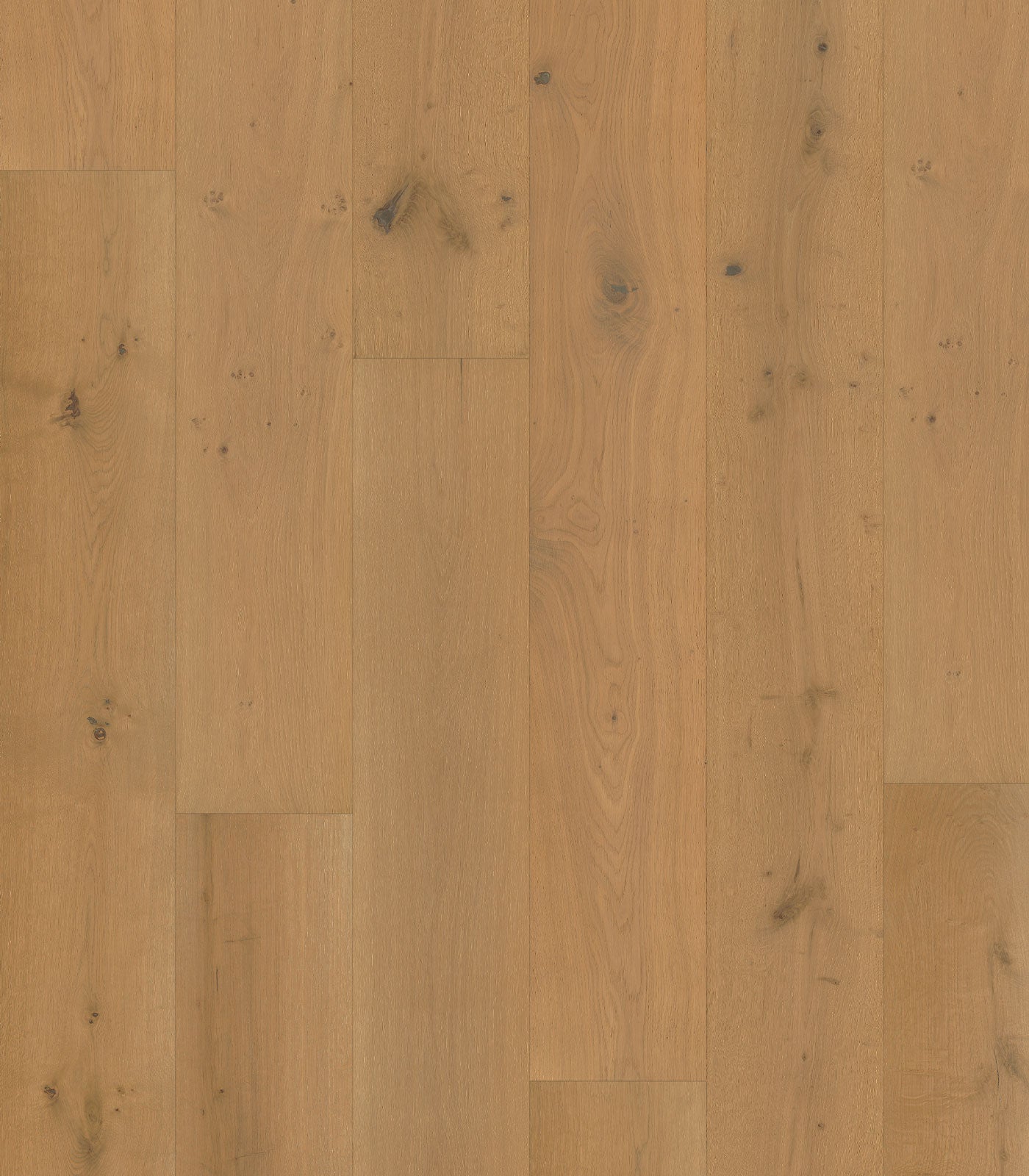 Rhine Engineered European Oak