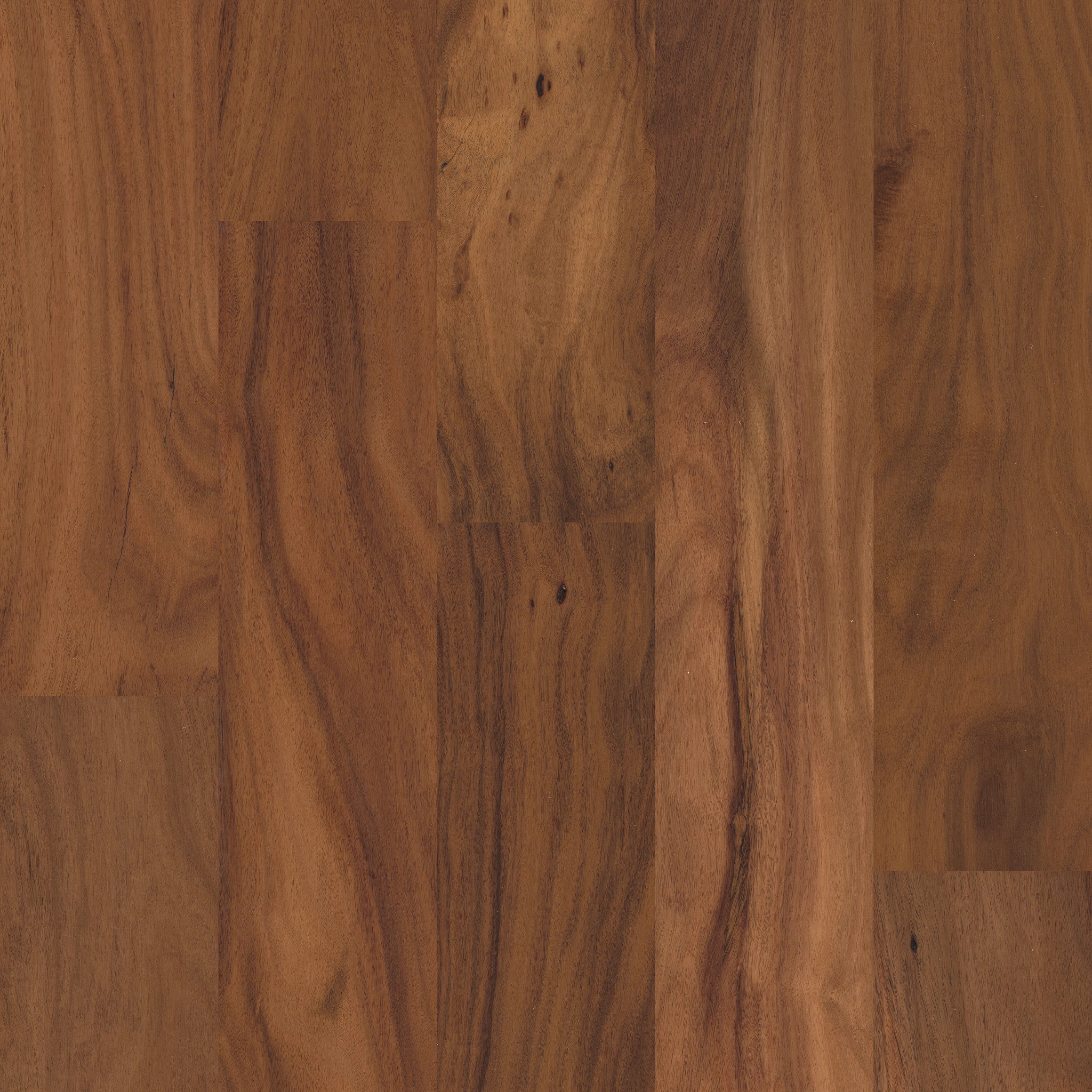 Vera Mar 5" Wide Short Leaf Acacia Engineered Hardwood Flooring – Natural, 3/8" Thick, UV Aluminum Oxide Finish - ShippingFloors