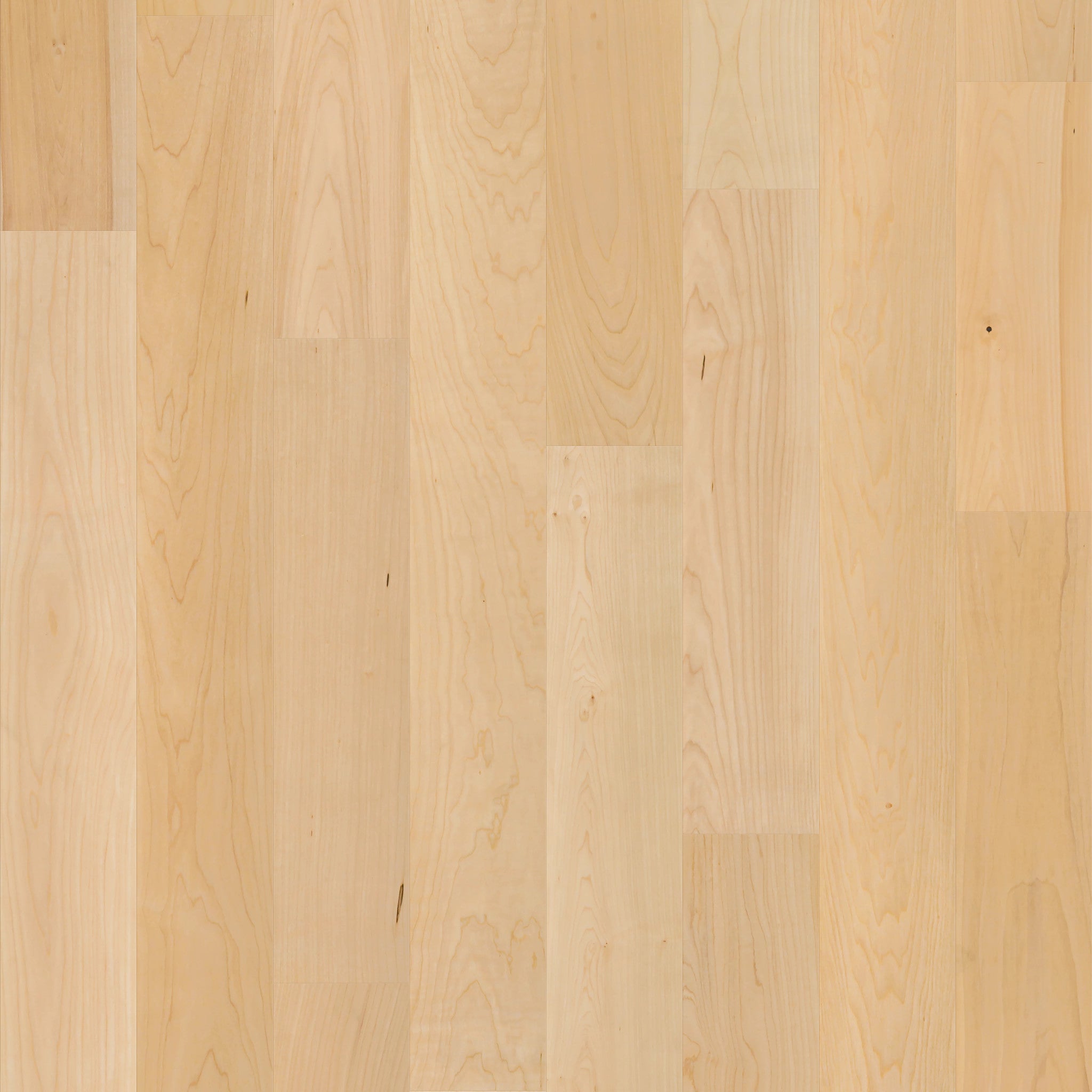 Natural Classics Hard Maple 5" Engineered Hardwood Flooring – 9/16" Thick, Smooth Texture, Micro Bevel Edges, 26.24 sq. ft. per Carton