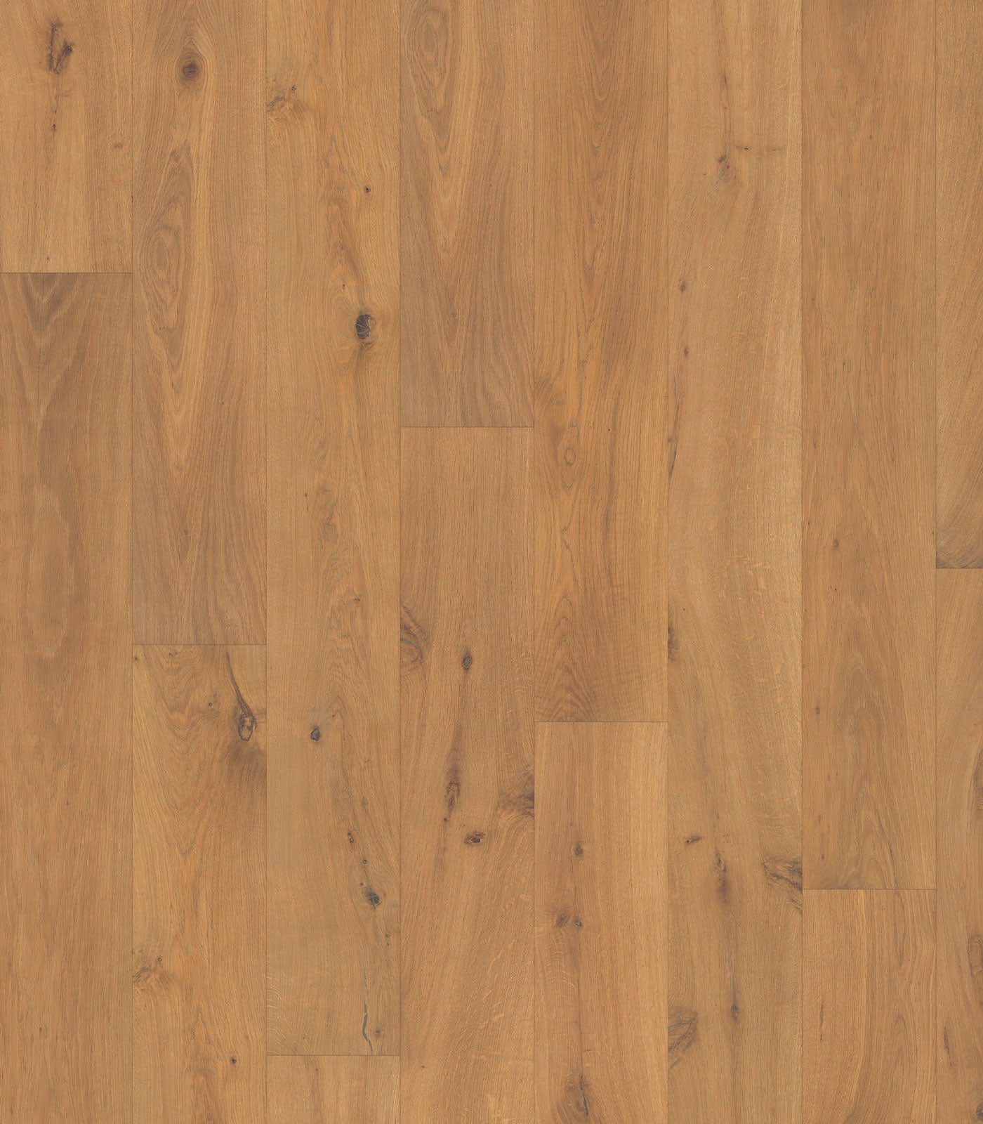 Spili Engineered Western European Oak