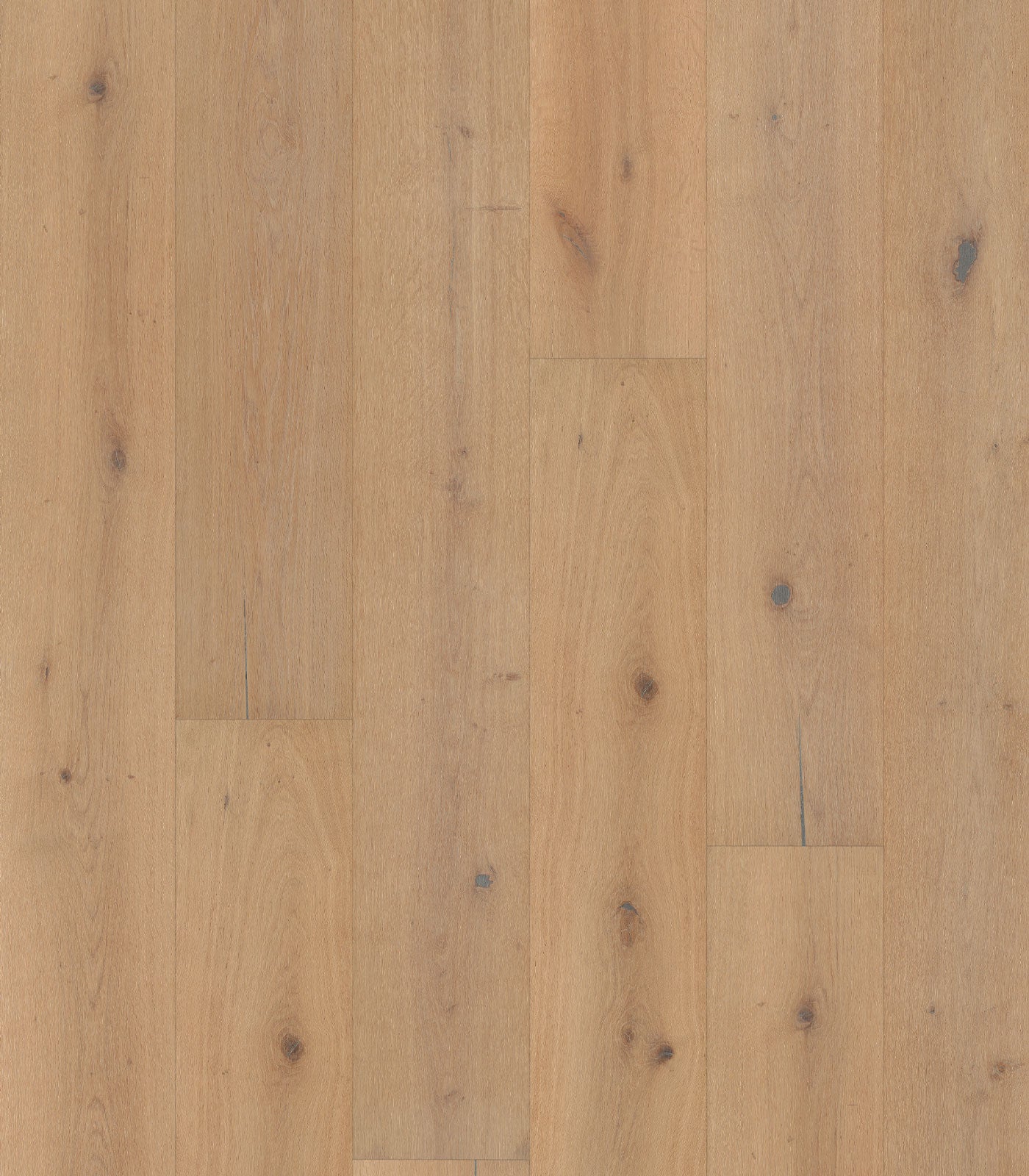 Thames Engineered - ShippingFloors