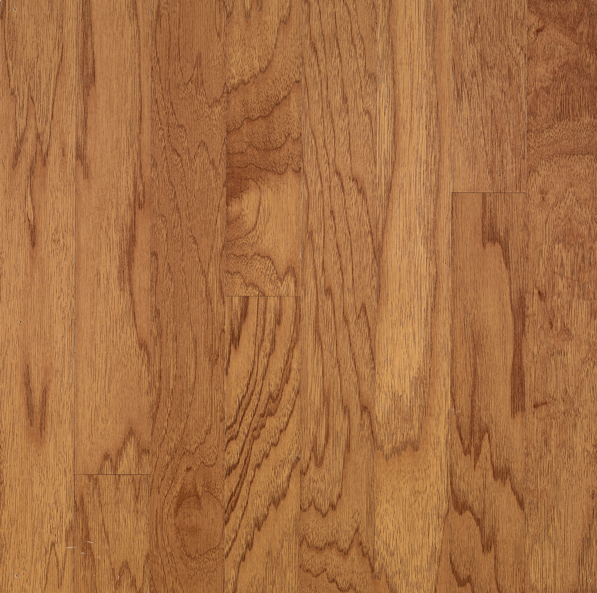 Golden Spice 3" Wide Hickory Engineered Hardwood Planks, 3/8" Thick, Medium Gloss Urethane Finish, USA Made - ShippingFloors