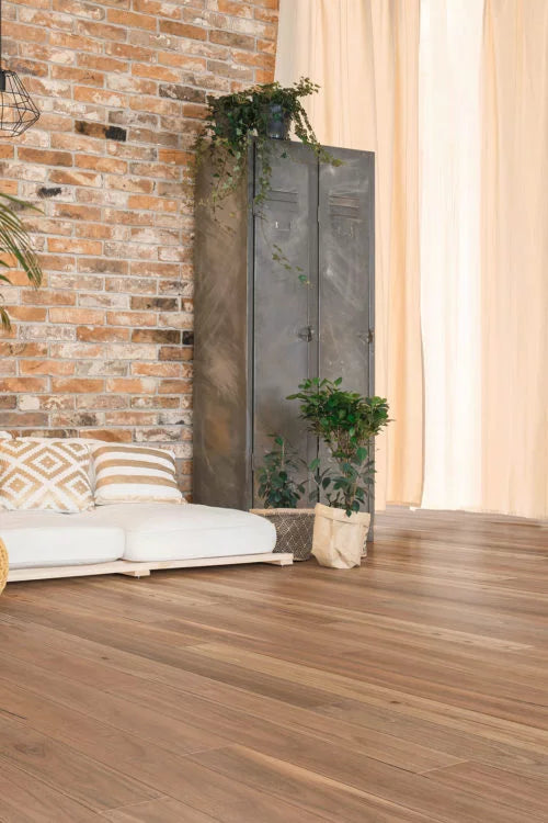 Spotted Gum