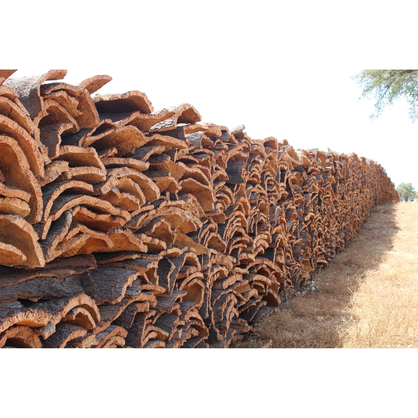 Cork Sheets 24" x 36" x 1/2", - 100% Natural (1/2-inch-thick) (Made in Portugal) - ShippingFloors