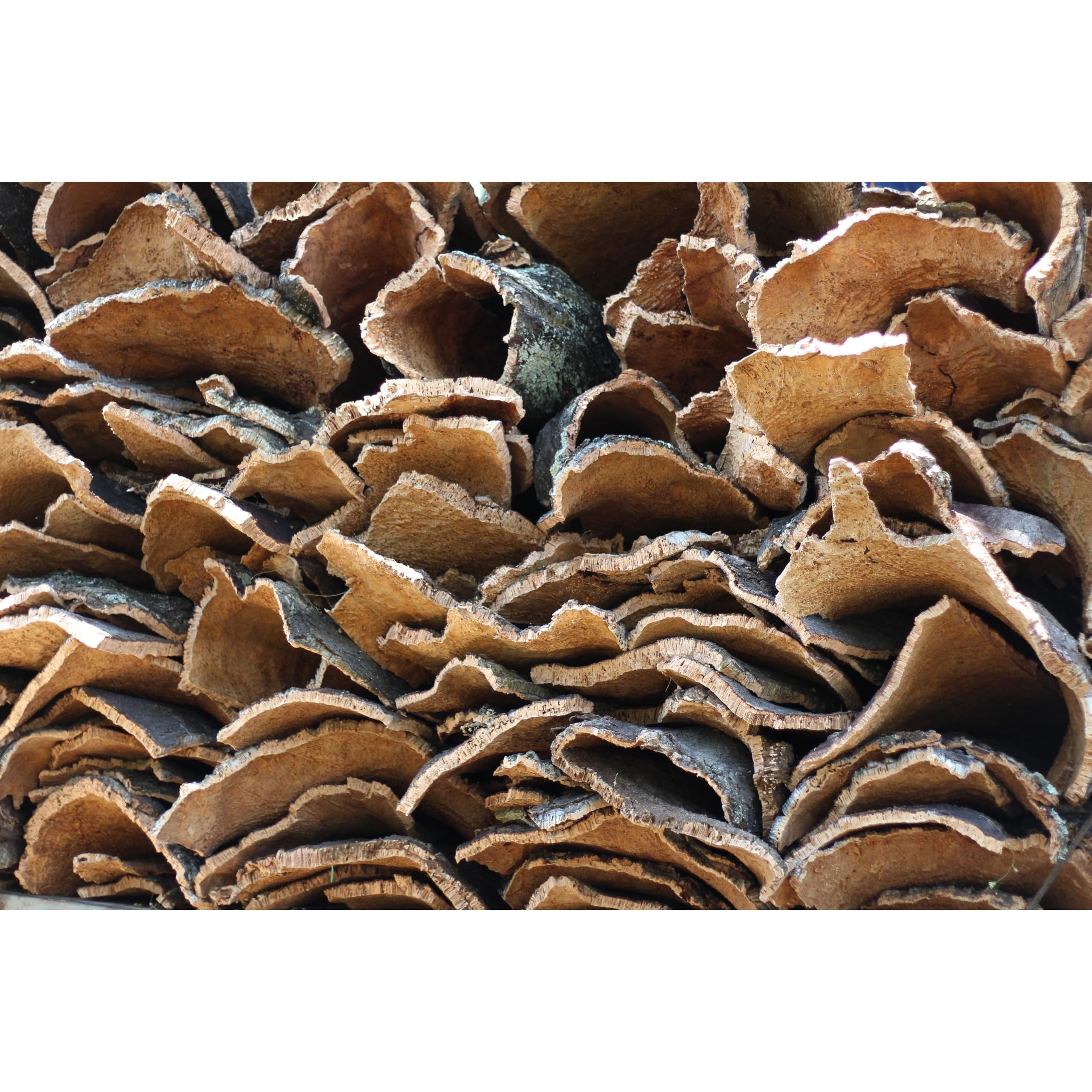 Cork Sheets - 24" x 36" x 1/4", (12SQFT) - 100% Natural (2-Pack, 1/4-inch-thick) Made in Portugal - ShippingFloors