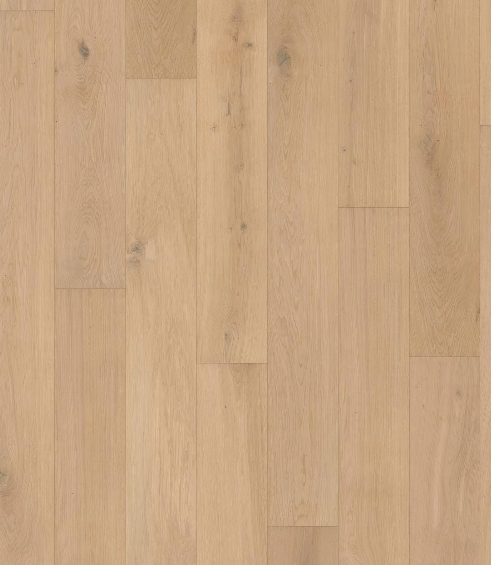 ABSOLUTE Engineered Western European Oak - ShippingFloors