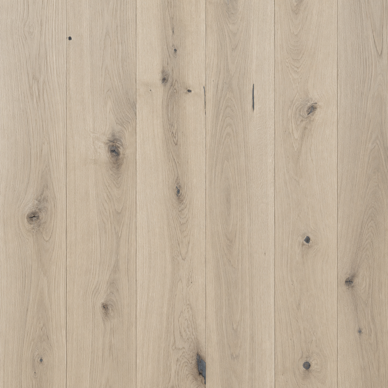 Sand White Oak Wire-Brushed Engineered Hardwood Flooring – Tongue & Groove | 5/8” x 7-5/8” x 96” with 3.5mm Top Layer (39.92 sq. ft./Case)