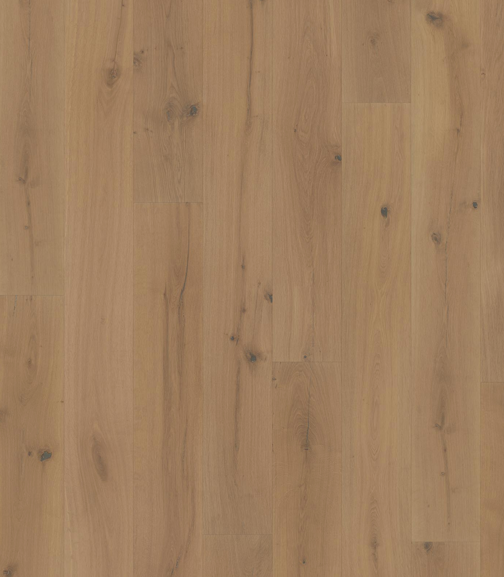 San Ramón White Oak
