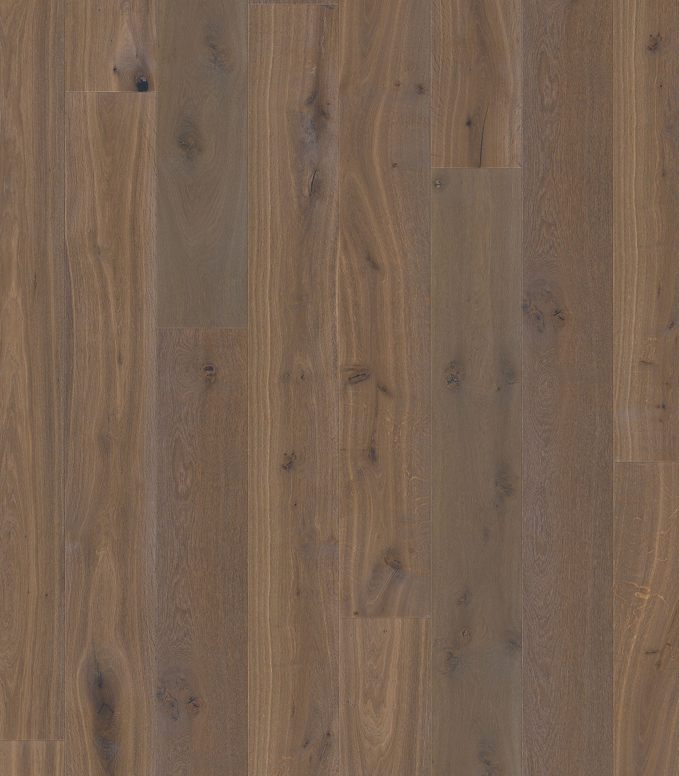 Biarritz Engineered Western European Oak
