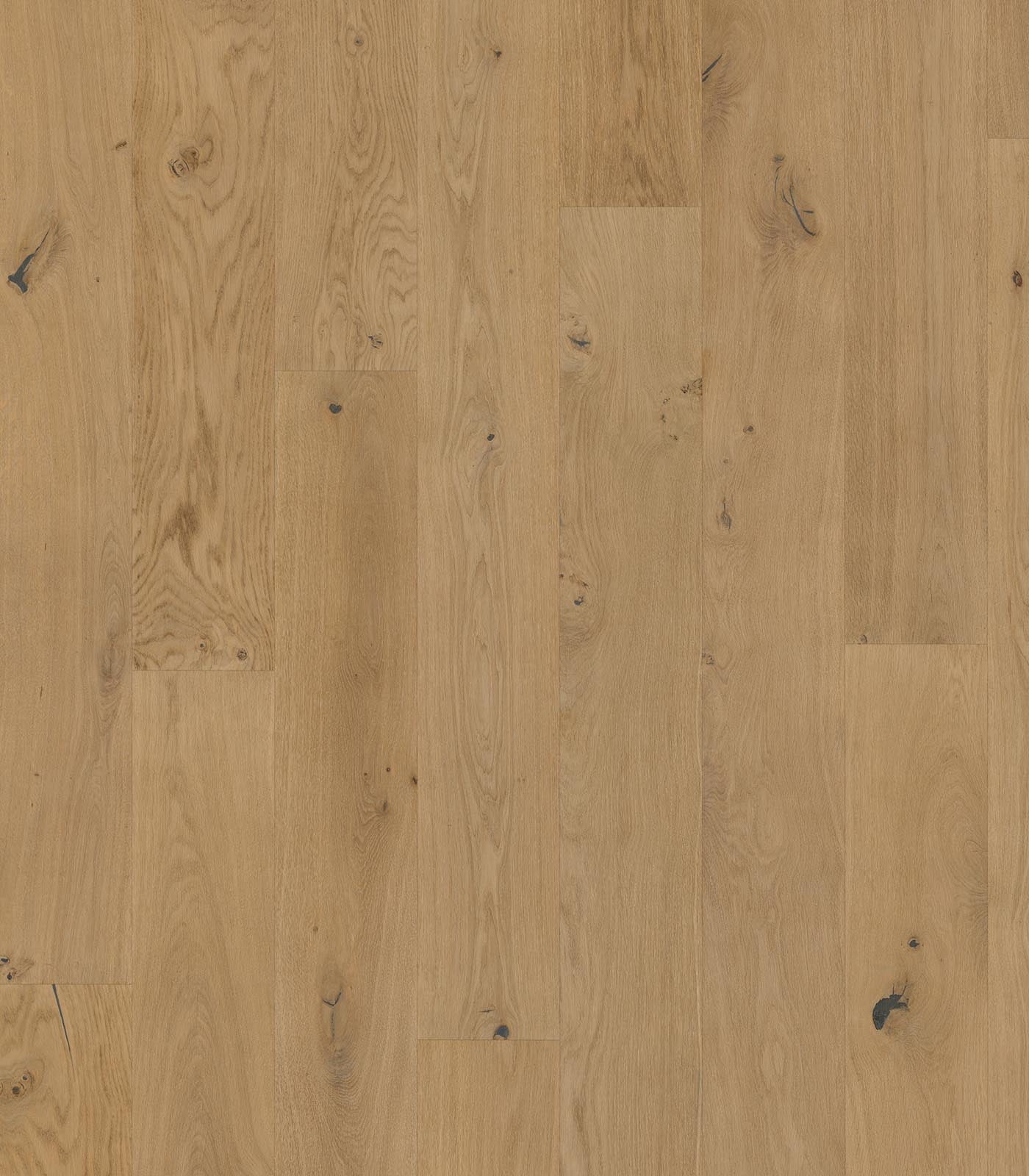 Neutrino Semi-Fumed Engineered Western European Oak