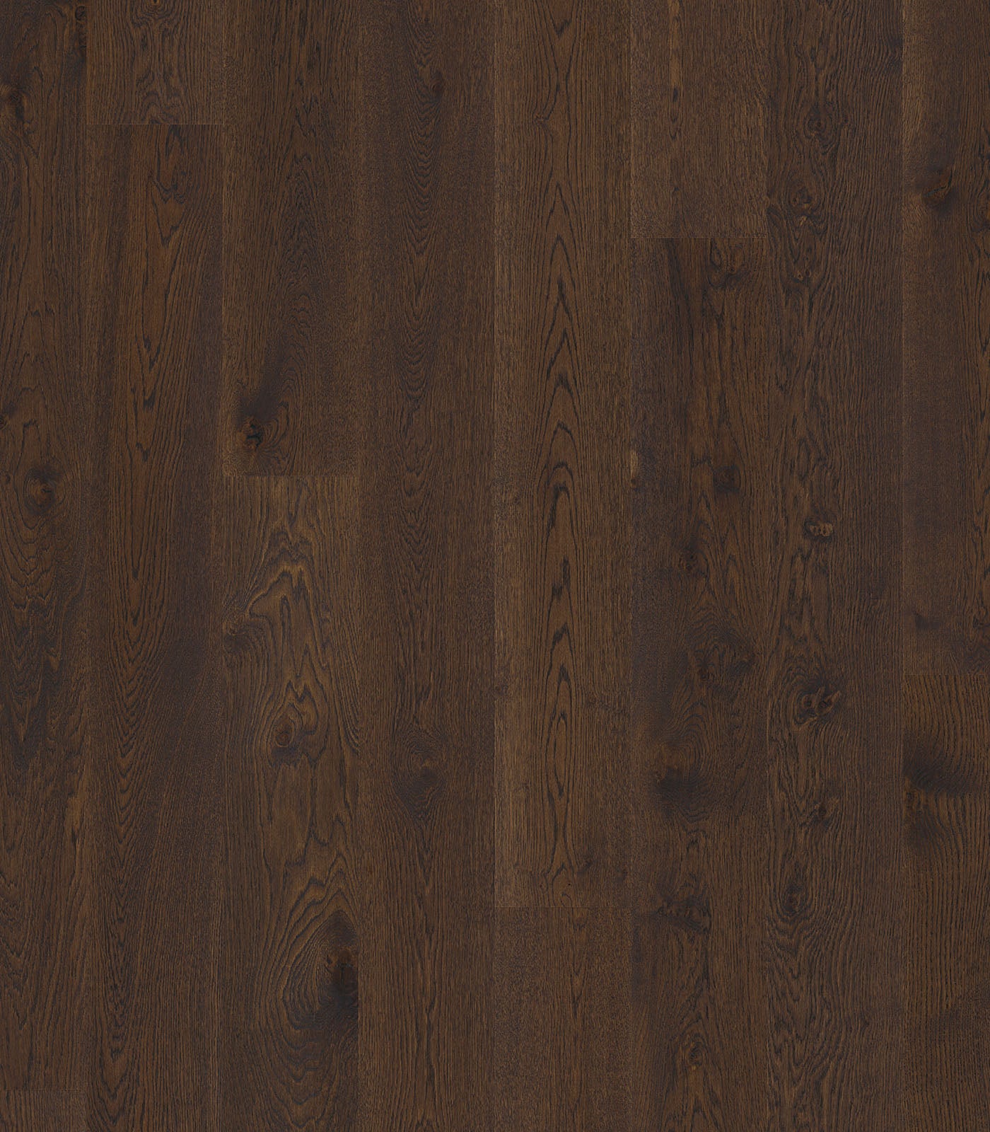 Wales Engineered Western European Oak - ShippingFloors