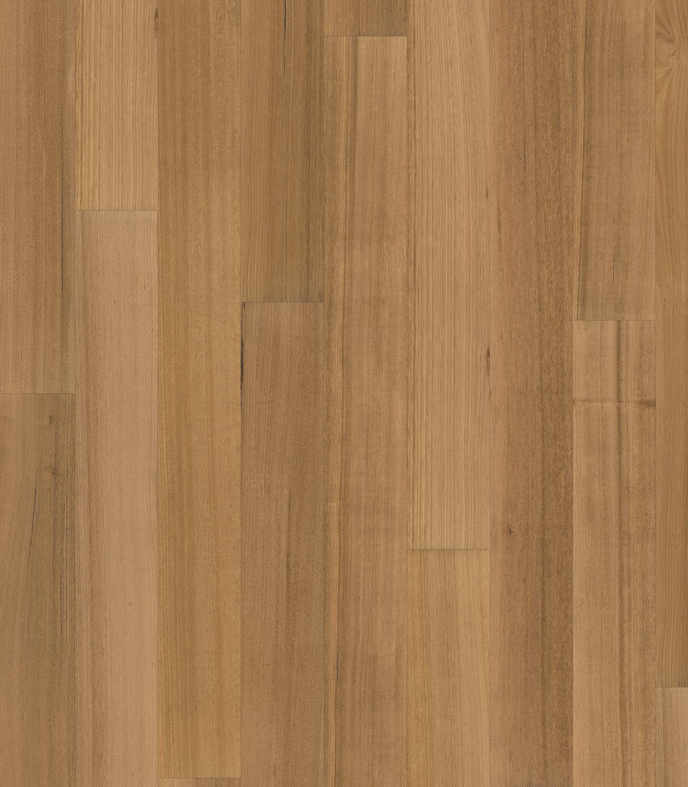 Newcastle Tasmanian Oak