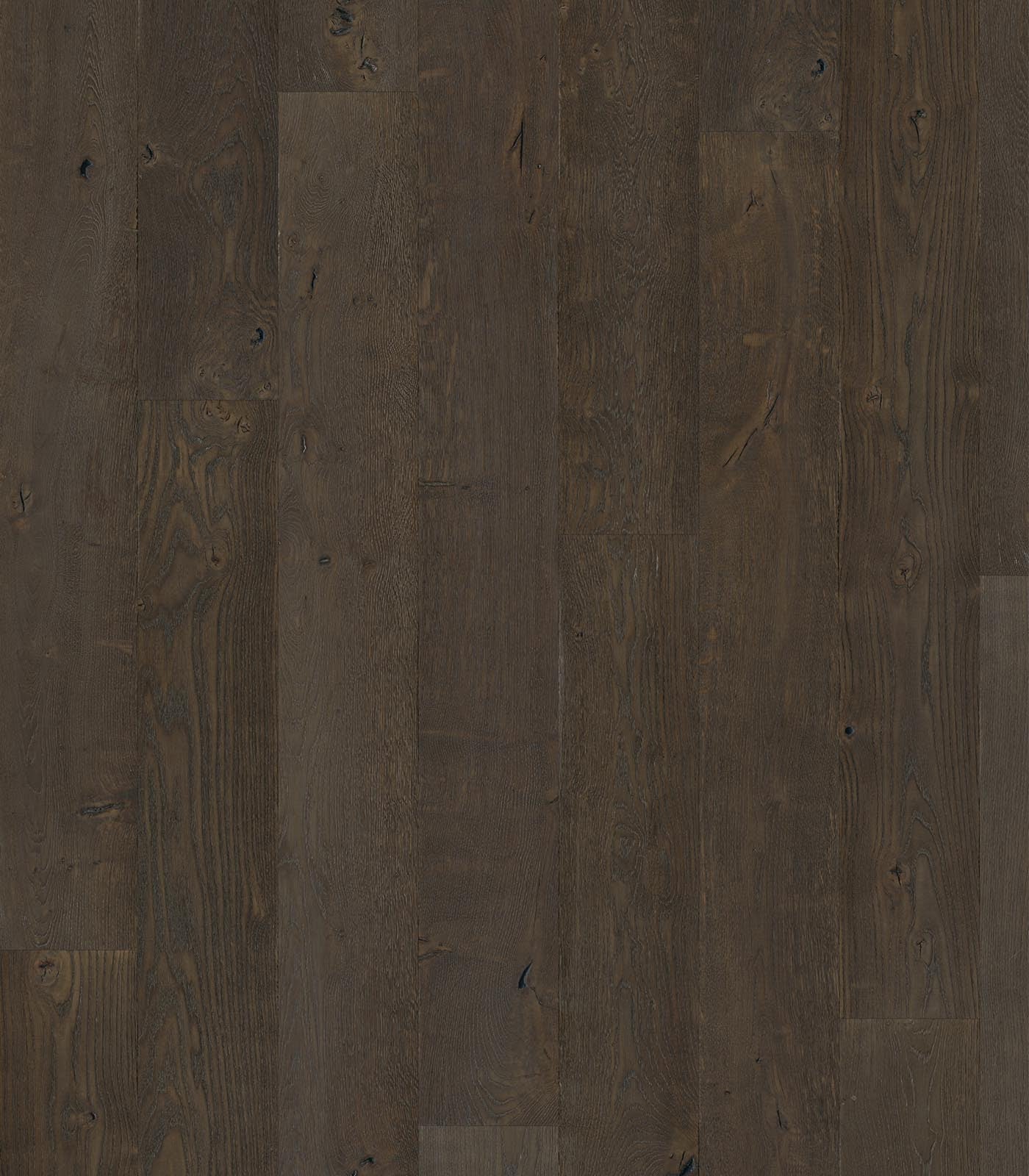 Petra Engineered  Western European Oak - ShippingFloors