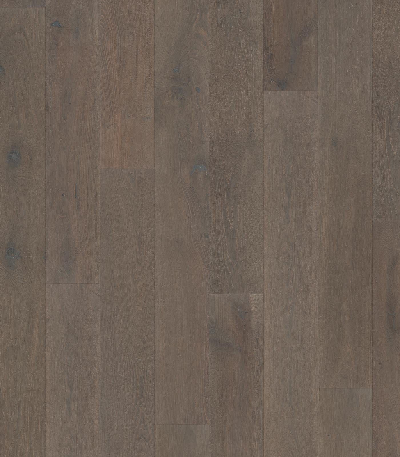 Brittany Engineered Western European Oak