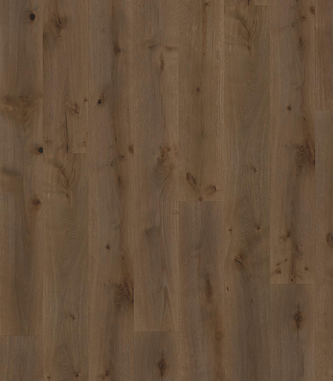 Cuba Western European Oak