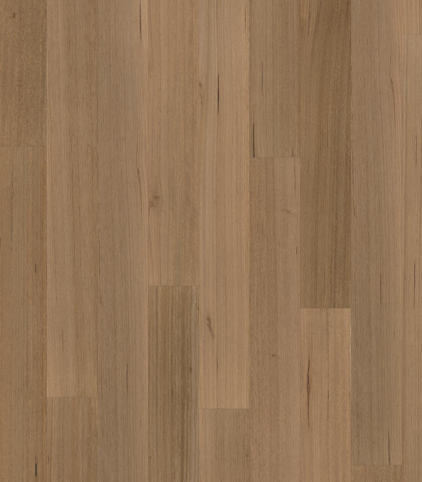 Albany Tasmanian Oak Engineered Flooring - ShippingFloors