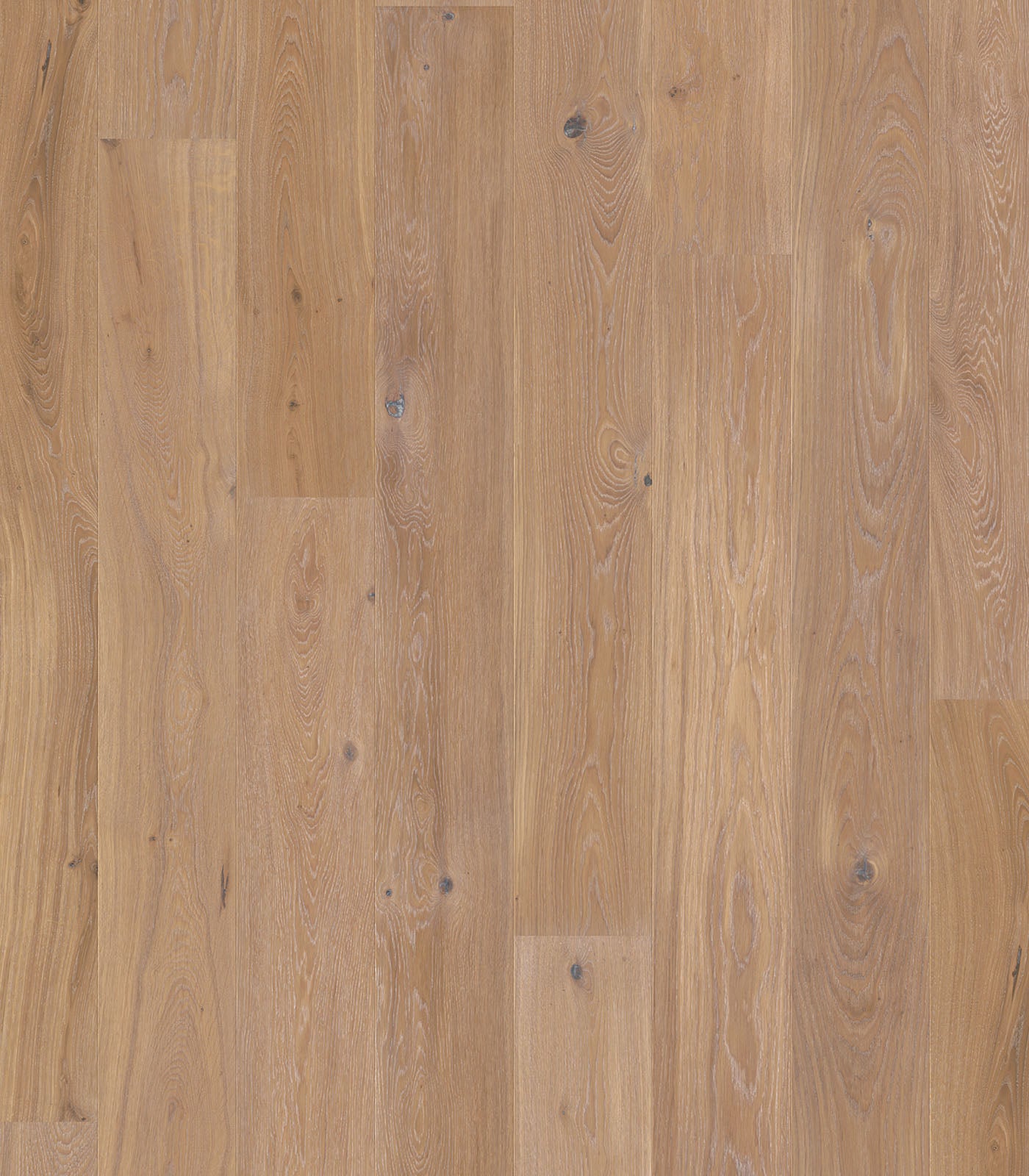 Brody Engineered Western European Oak - ShippingFloors