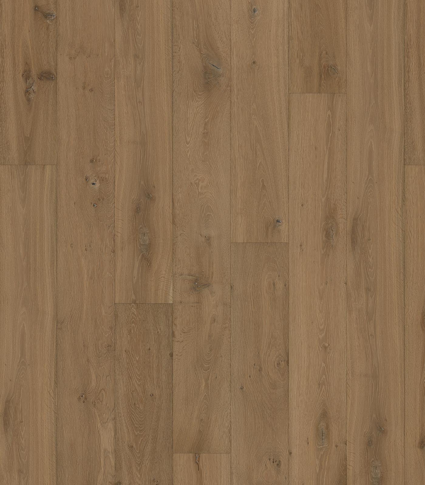 Assisi European Oak - ShippingFloors
