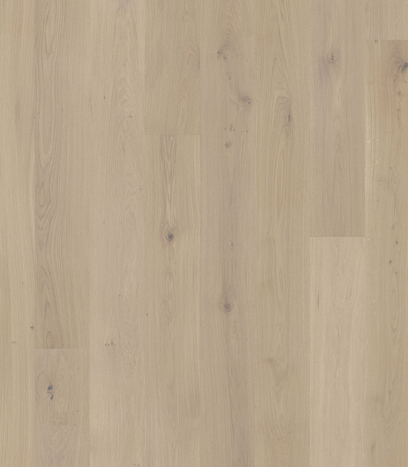 Paramount Engineered Hardwood Flooring - Western European Oak, 7.5"/9.5"/11.5" Wide, 72"/84"/96" Long, 9/16" to 7/8" Thick