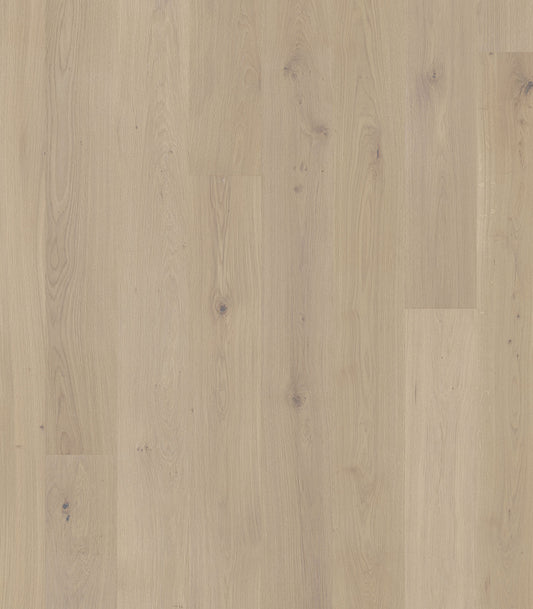 Paramount European Oak