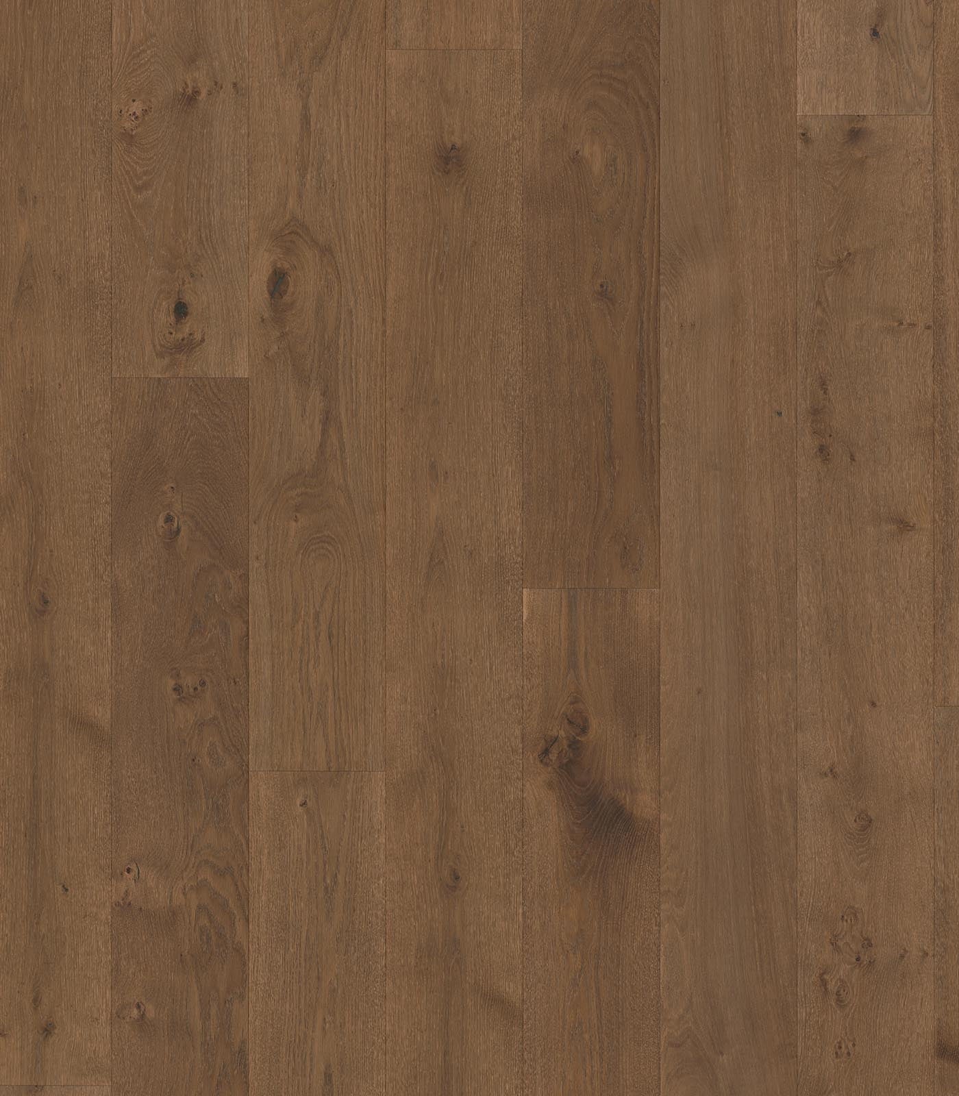 Montserrat Medium Brown Western European Oak
