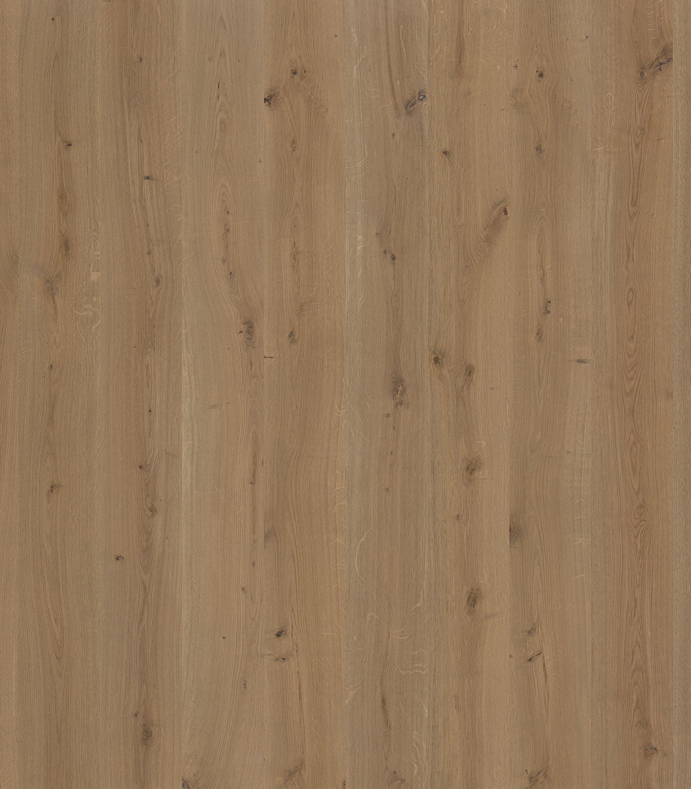 Ruaha Engineered Western European Oak Planks