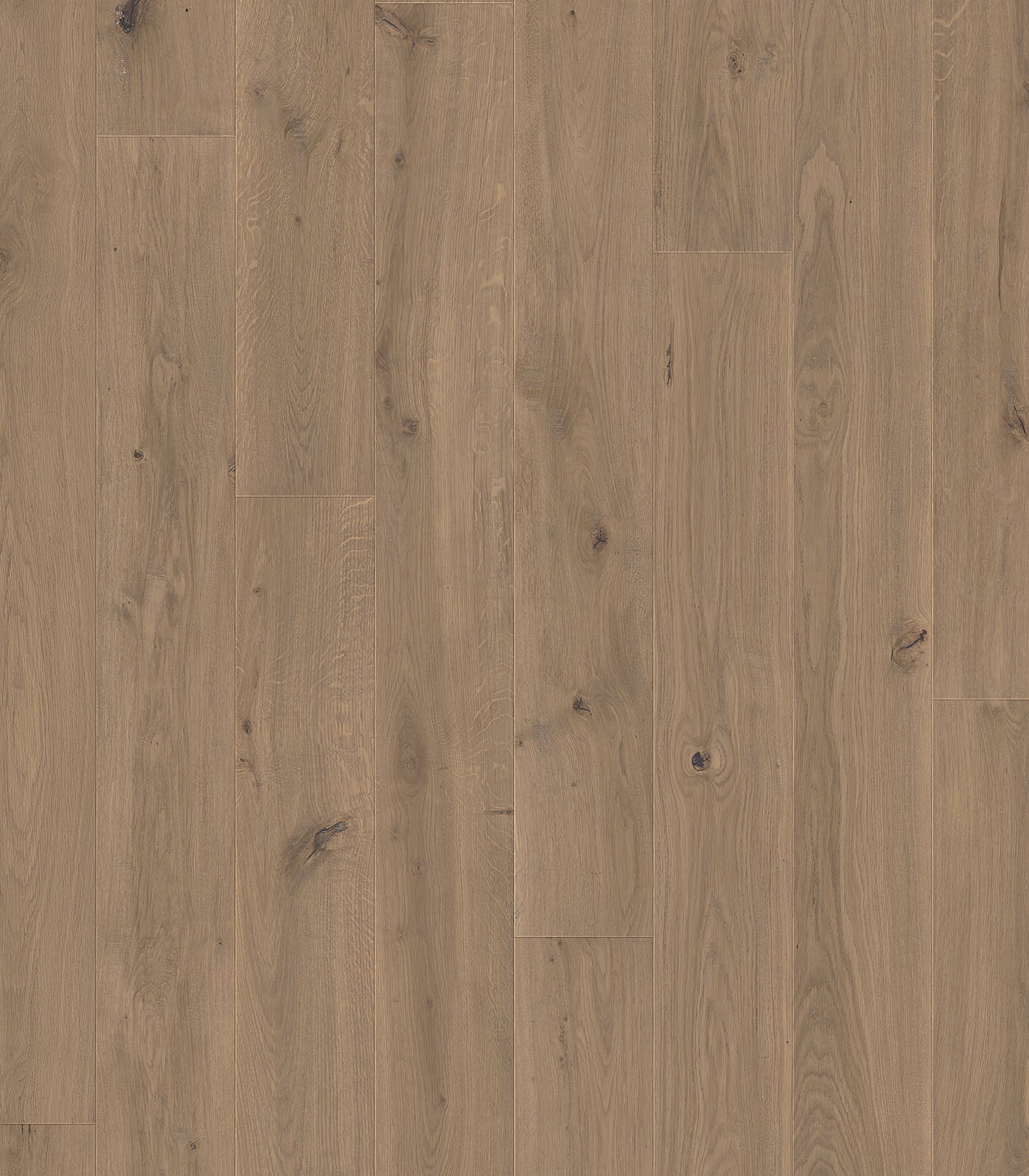 Elounda Western European Oak - ShippingFloors