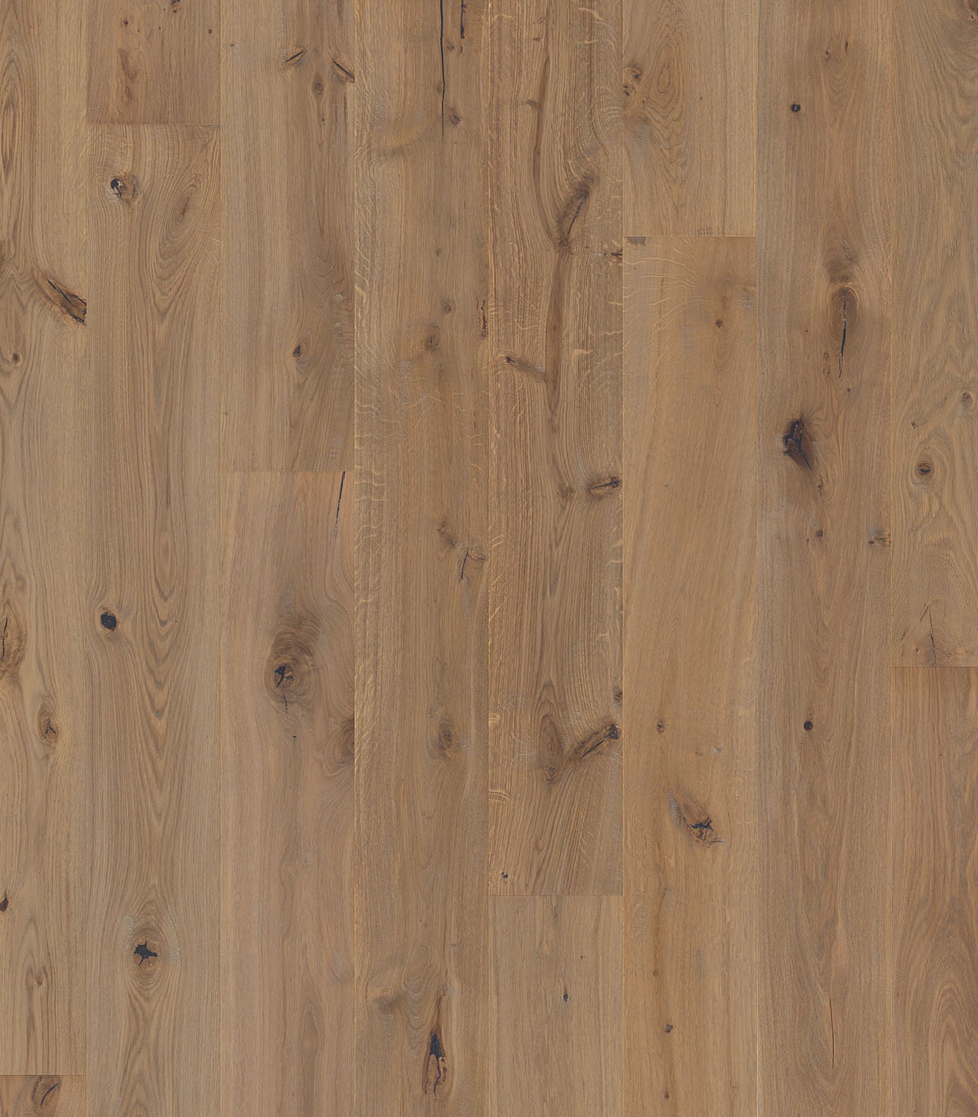 Barbados Engineered Western European Oak