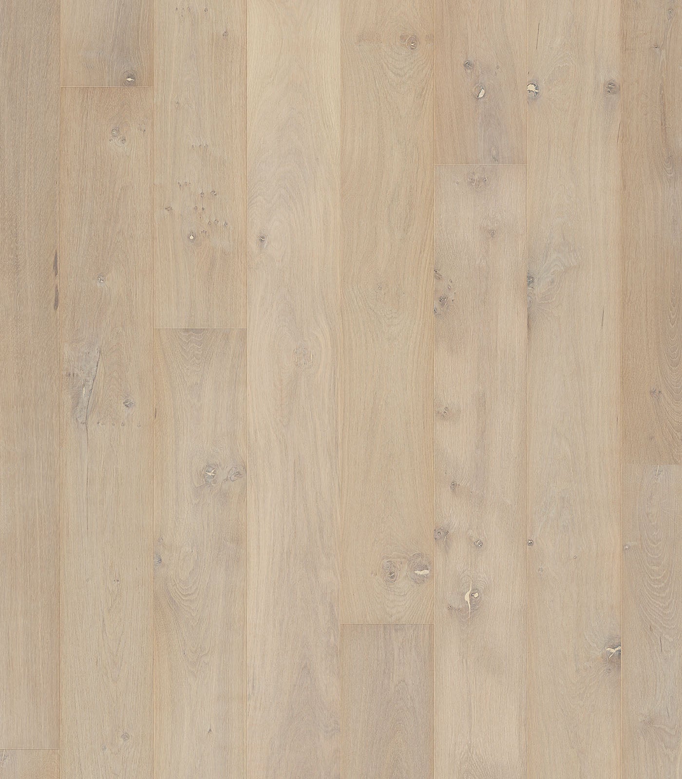 Aspen Western European Oak - ShippingFloors