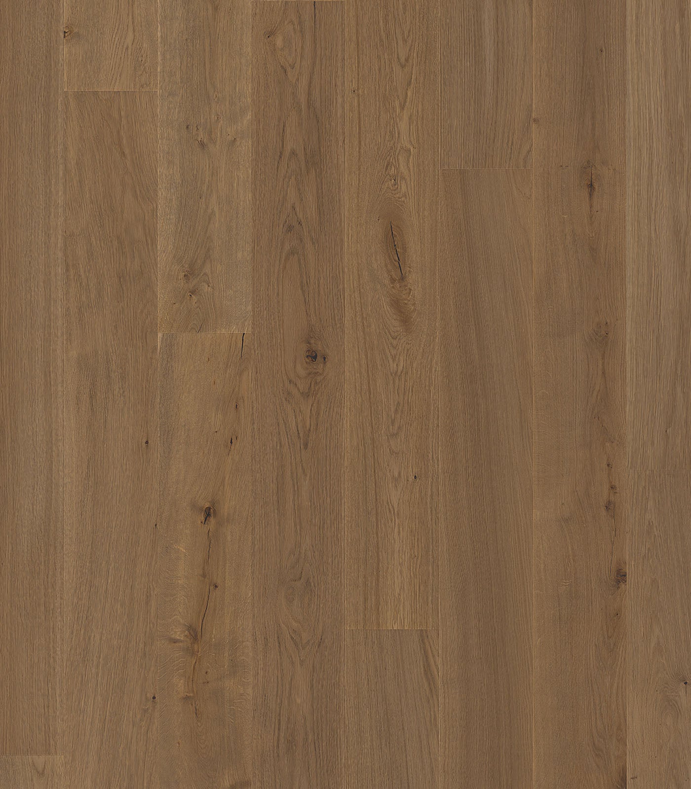 Amboseli Engineered Western European Oak - ShippingFloors