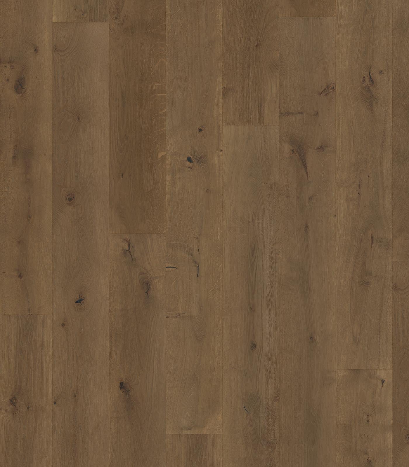 Bahamas Western European Oak